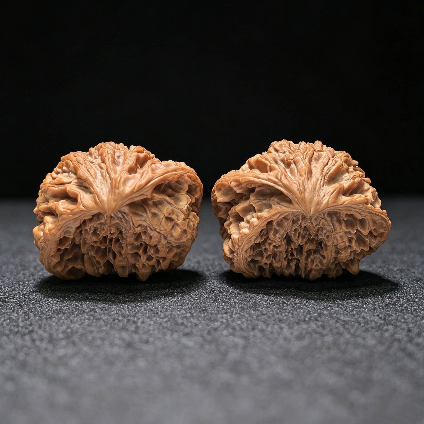 The Monumental "Snake King" Collector Masterpiece | 50.0mm x 33.0mm | SW-1401E - ThePatinaProject