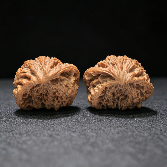 The Monumental "Snake King" Collector Masterpiece | 50.0mm x 33.0mm | SW-1401E - ThePatinaProject