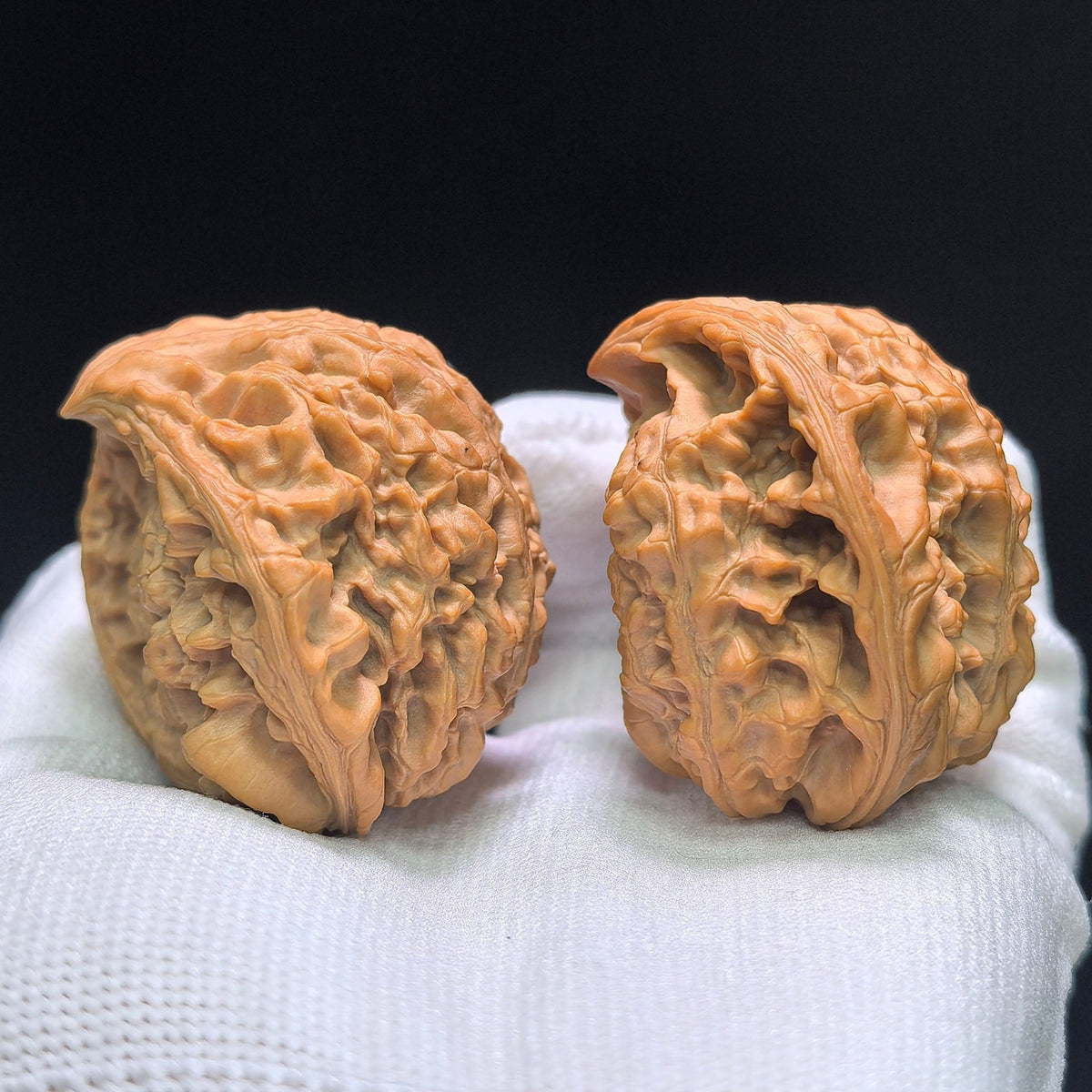 The Monumental "Snake King" Collector Masterpiece | 50.0mm x 33.0mm | SW-1401E - ThePatinaProject