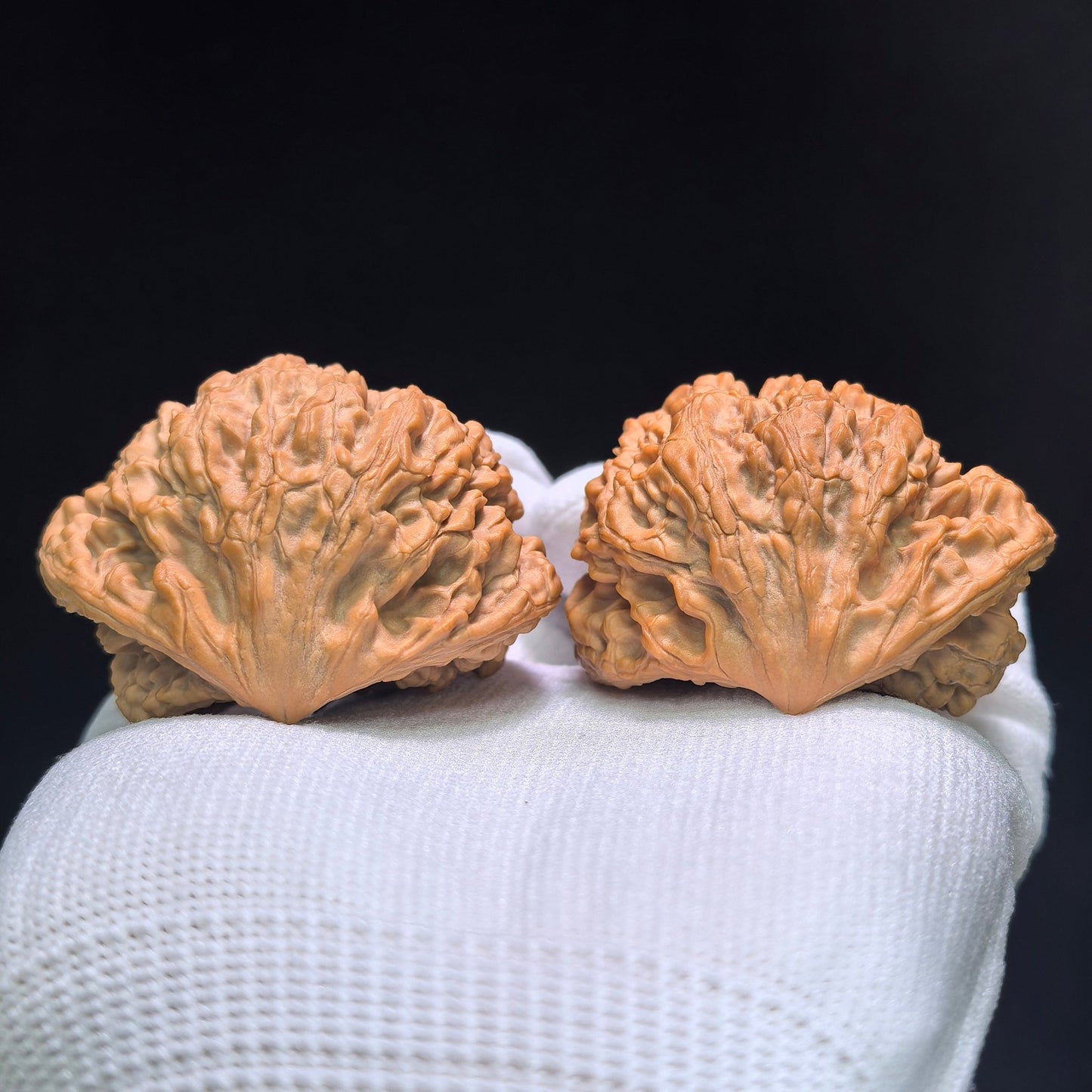 The Monumental "Snake King" Collector Masterpiece | 50.0mm x 33.0mm | SW-1401E - ThePatinaProject