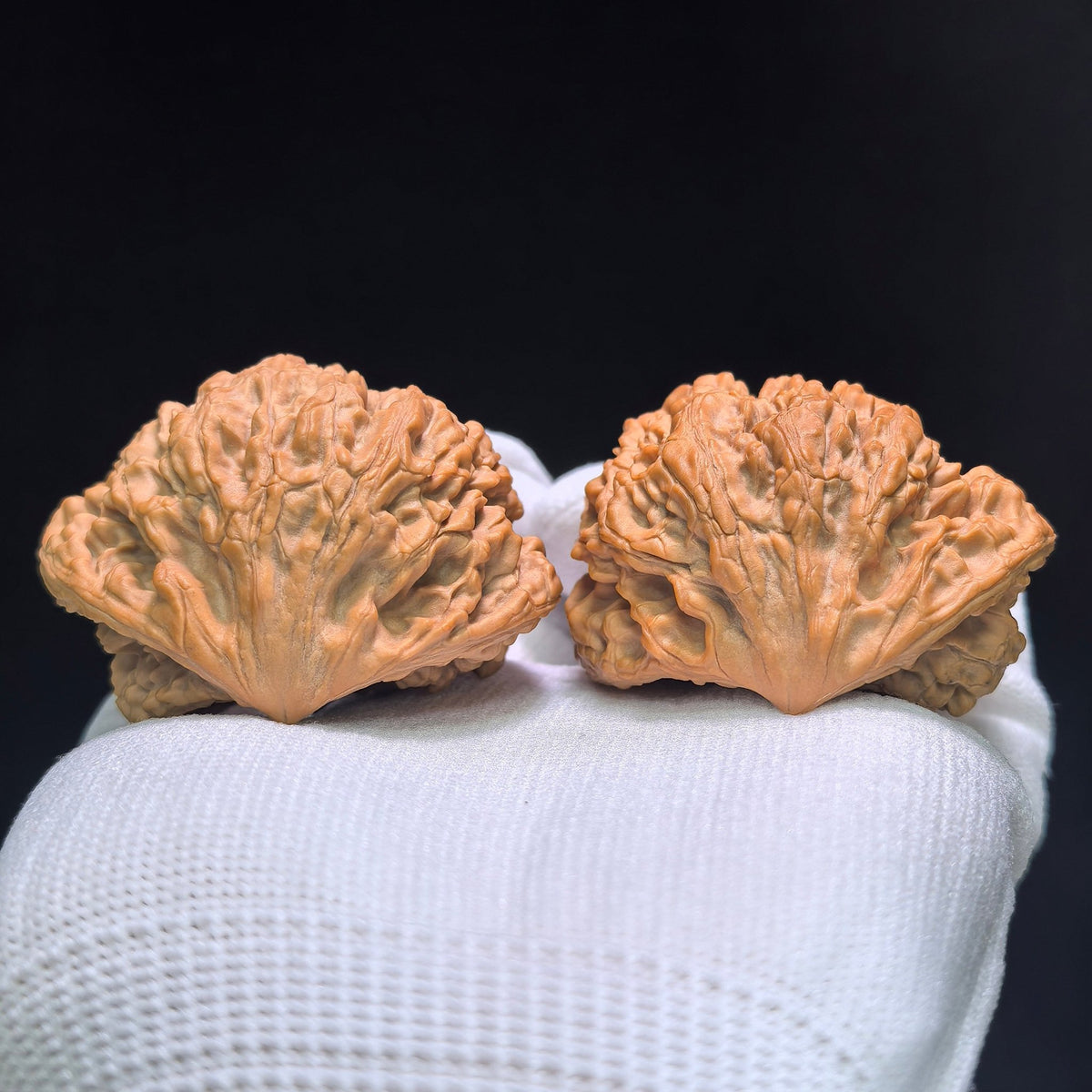 The Monumental "Snake King" Collector Masterpiece | 50.0mm x 33.0mm | SW-1401E - ThePatinaProject
