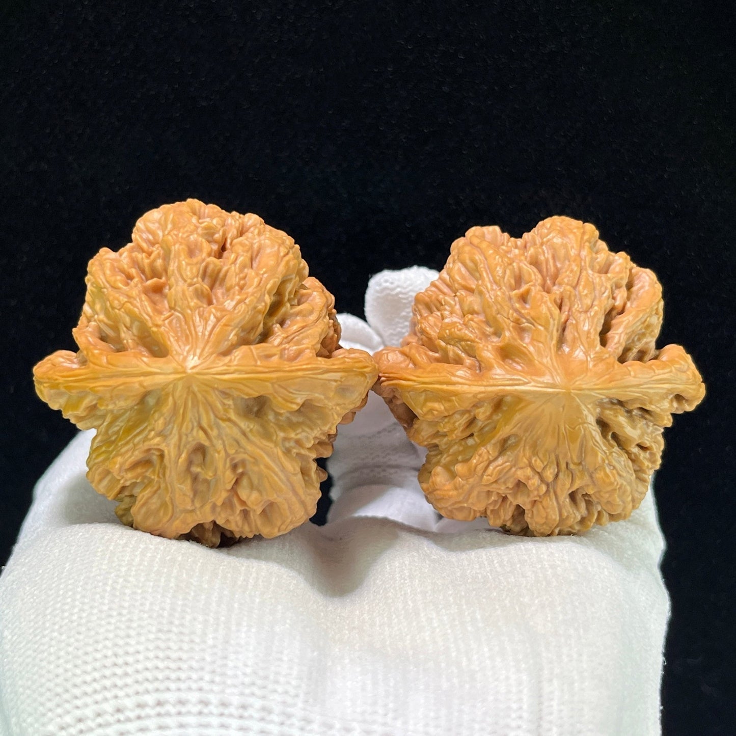 The Monumental "Thick Ridge" Dacujin Lion Head Masterpiece | 48.0mm x 48.0mm | DCJ-1002 - ThePatinaProject