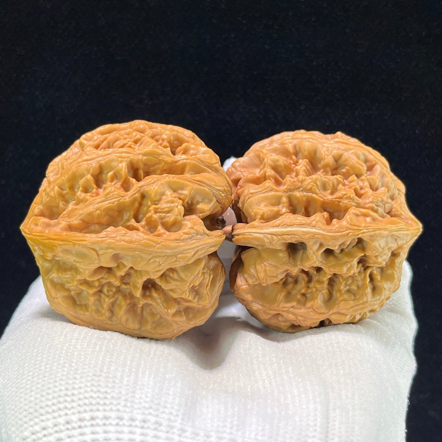 The Monumental "Thick Ridge" Dacujin Lion Head Masterpiece | 48.0mm x 48.0mm | DCJ-1002 - ThePatinaProject