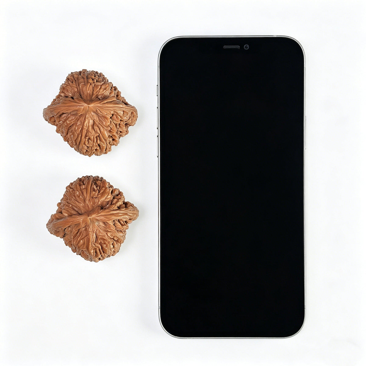 The "Mountain Eagle" Nanjiang Stone (Zuo Shan Diao) Ergonomic Giant | 44.0mm x 41.0mm | NJS-1011 - ThePatinaProject