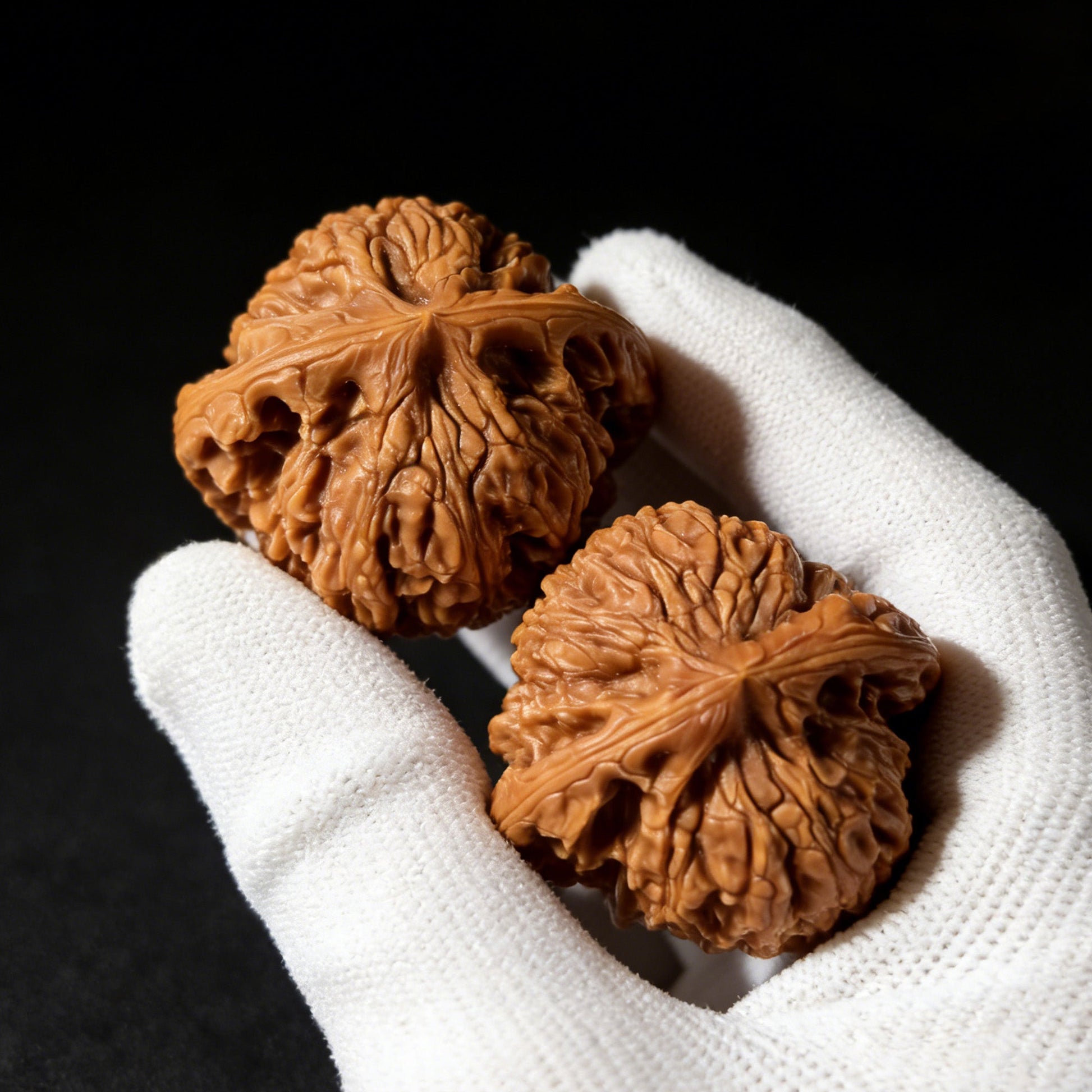 The "Nan Jiang Shi" Lion Head Pair | 41.0mm x 39.0mm | NJS-502 - ThePatinaProject