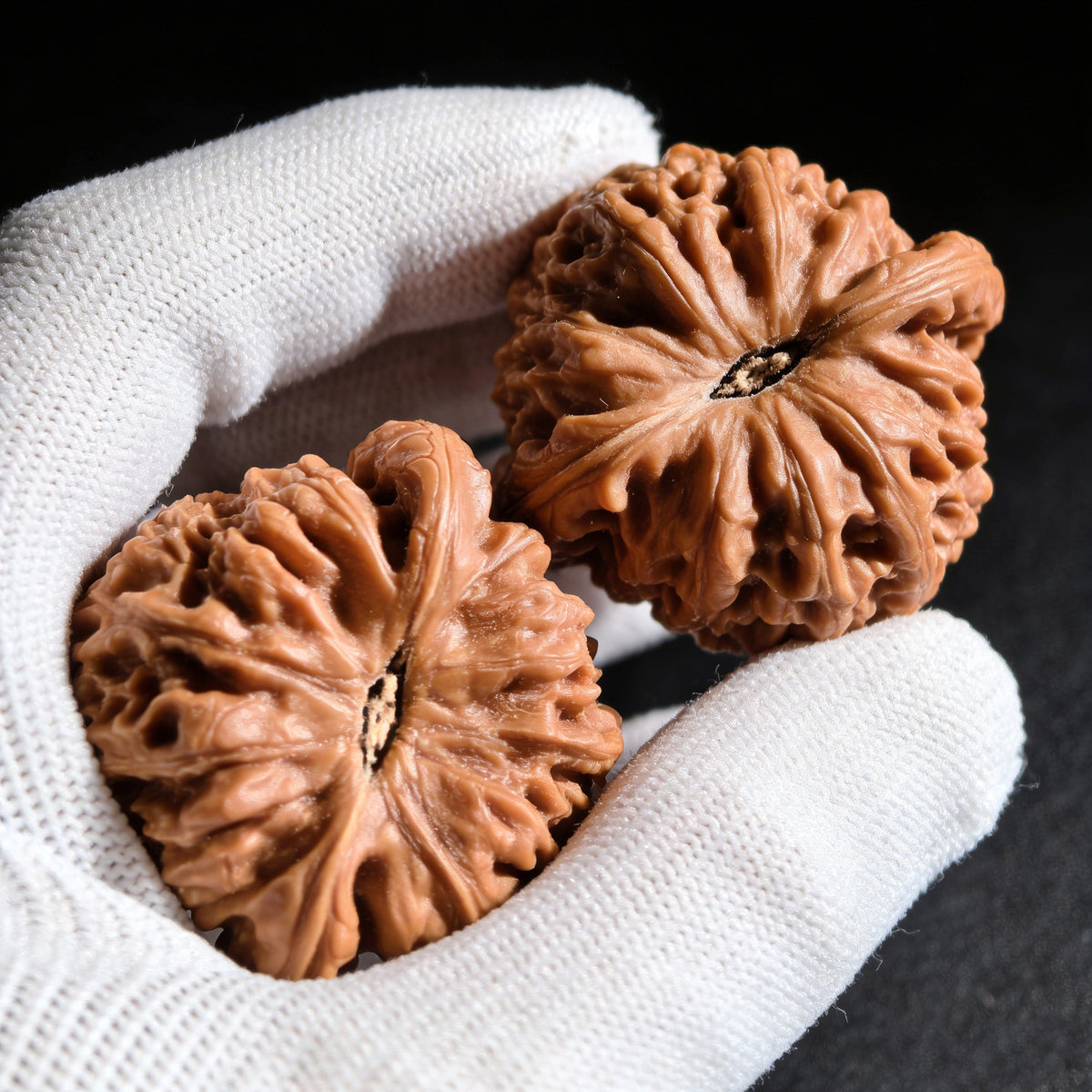 The "Nan Jiang Shi" Lion Head Pair | 41.0mm x 39.0mm | NJS-502 - ThePatinaProject