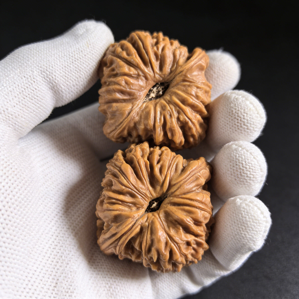 The "Nan Jiang Shi" Lion Head Pair | 43.0mm x 42.0mm | NJS-501 - ThePatinaProject