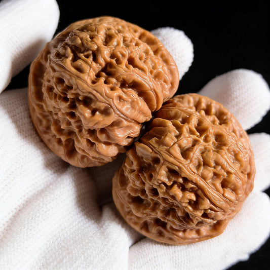 The "Nan Jiang Shi" Lion Head Pair | 43.0mm x 42.0mm | NJS-501 - ThePatinaProject