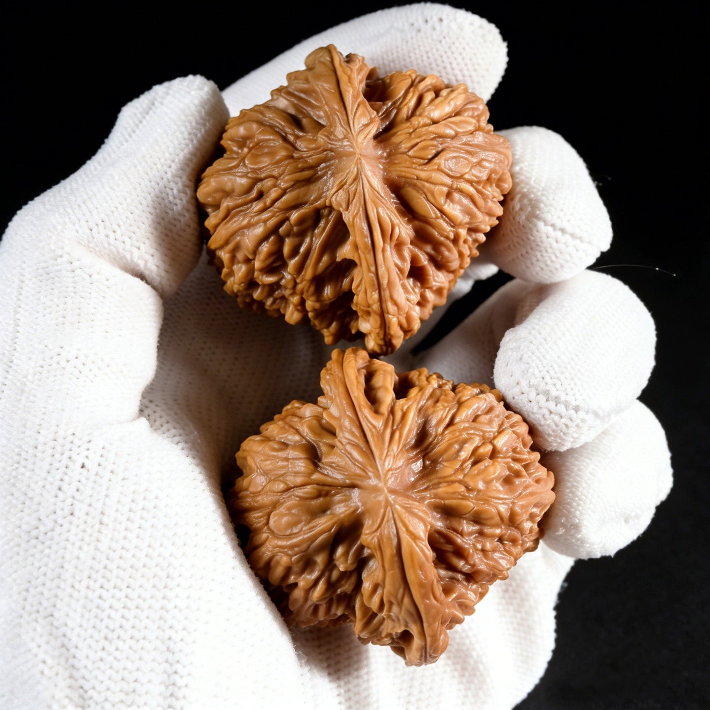 The "Nan Jiang Shi" Lion Head Pair | 43.0mm x 42.0mm | NJS-501 - ThePatinaProject