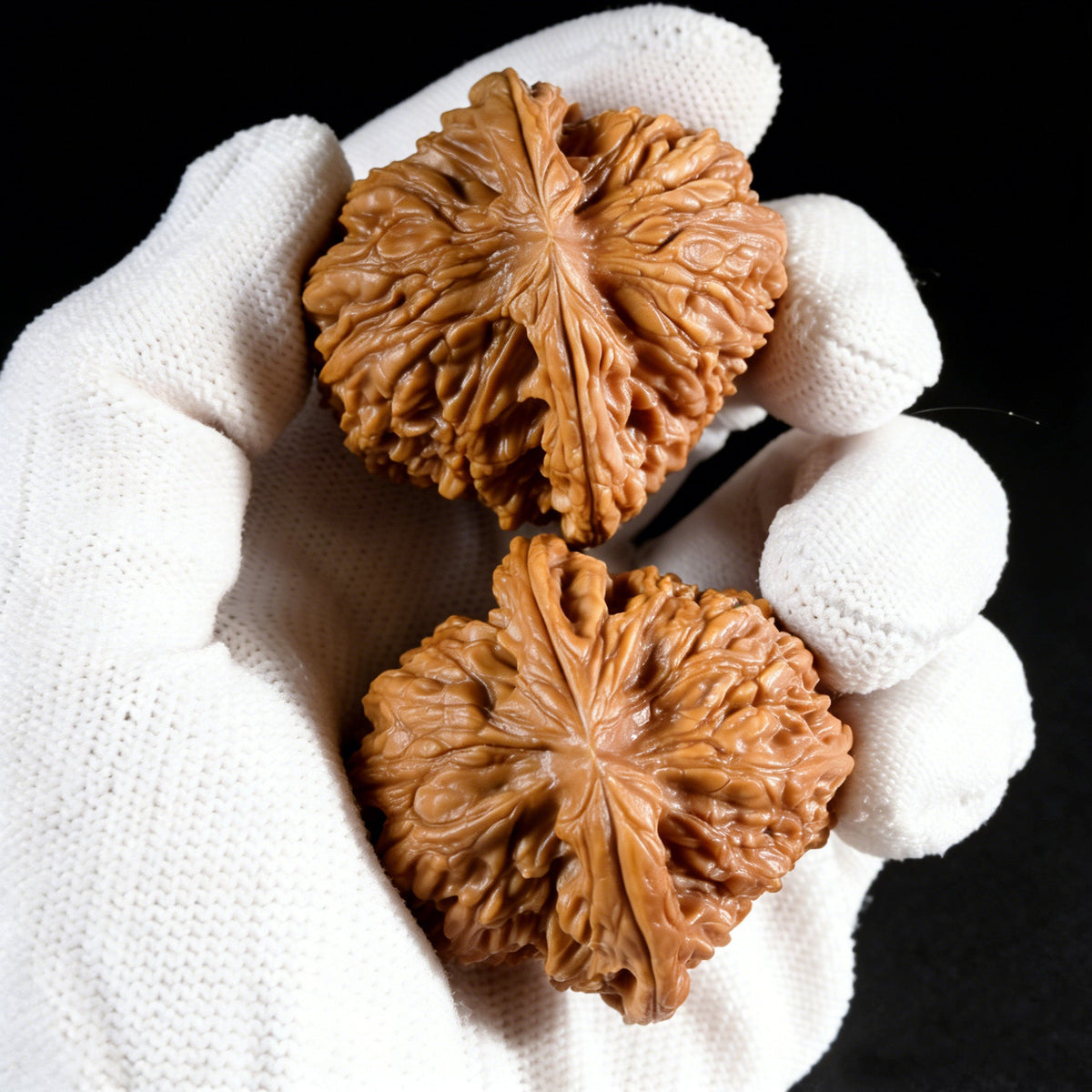 The "Nan Jiang Shi" Lion Head Pair | 43.0mm x 42.0mm | NJS-501 - ThePatinaProject