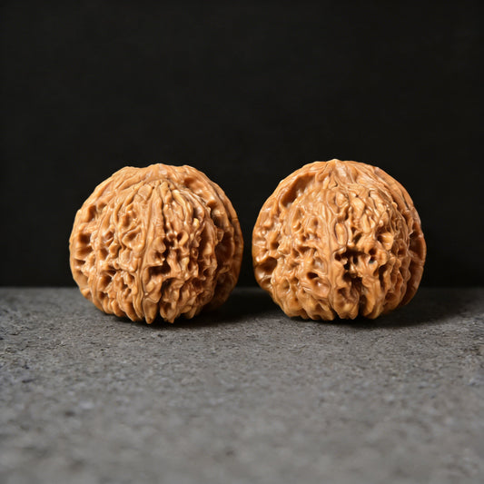 The "Nan Jiang Shi" Lion Head Pair | 43.0mm x 42.0mm | NJS-501 - ThePatinaProject