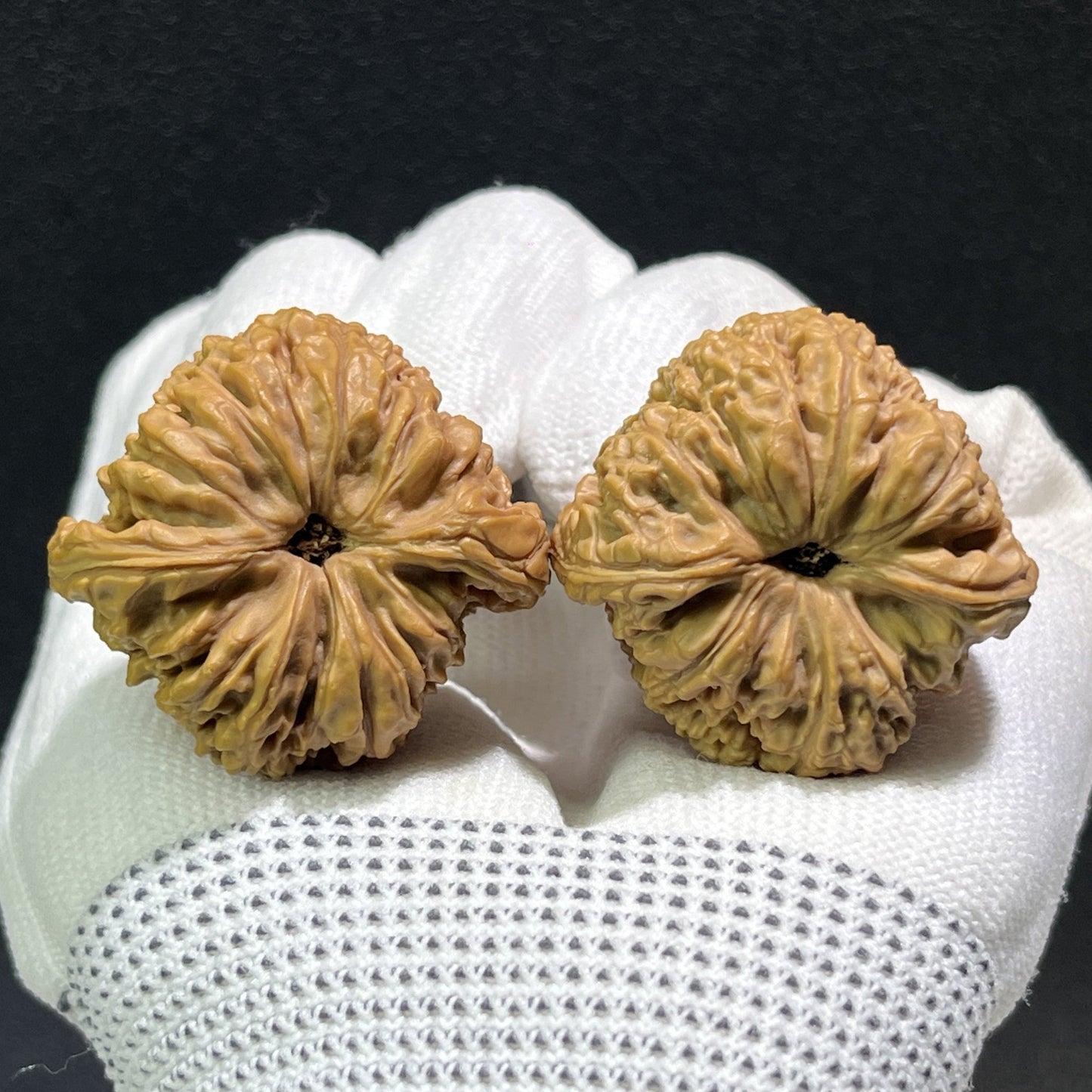 The "Nan Jiang Shi" Pair | 37.0mm x 36.0mm | NJS-407 - ThePatinaProject