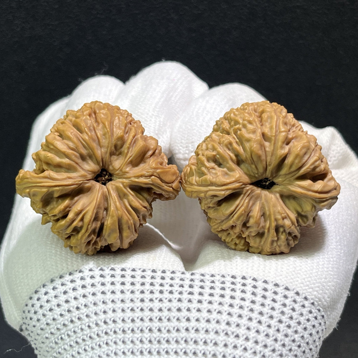 The "Nan Jiang Shi" Pair | 37.0mm x 36.0mm | NJS-407 - ThePatinaProject