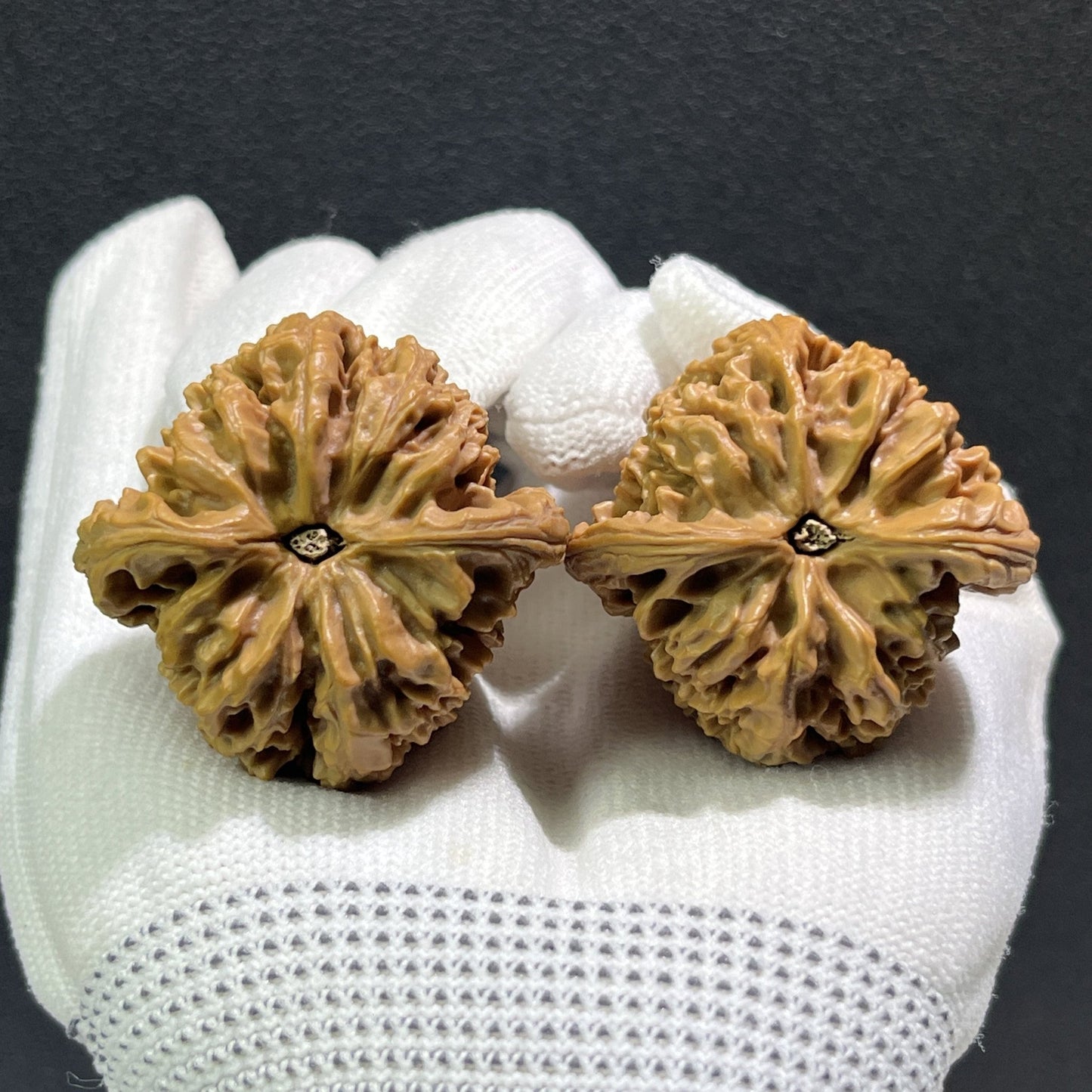 The "Nan Jiang Shi" Pair | 41.0mm x 39.0mm | NJS-405 - ThePatinaProject