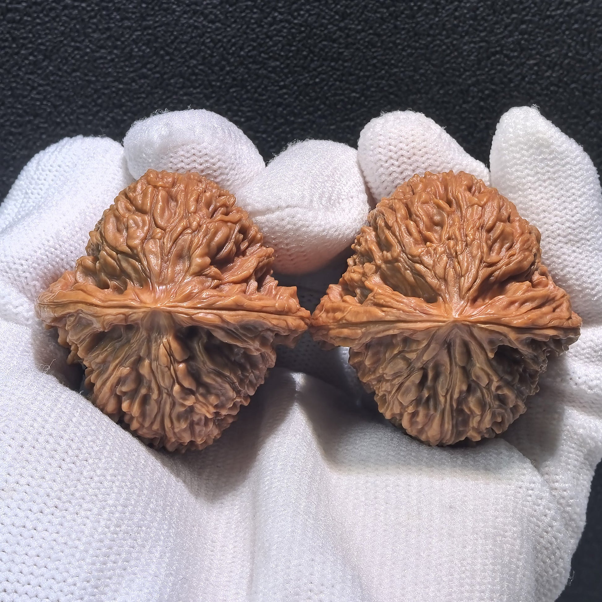The "Nan Jiang Shi" Pair | Boutique Grade | 39.0mm x 39.0mm x 38.0mm | NJS-402C - ThePatinaProject