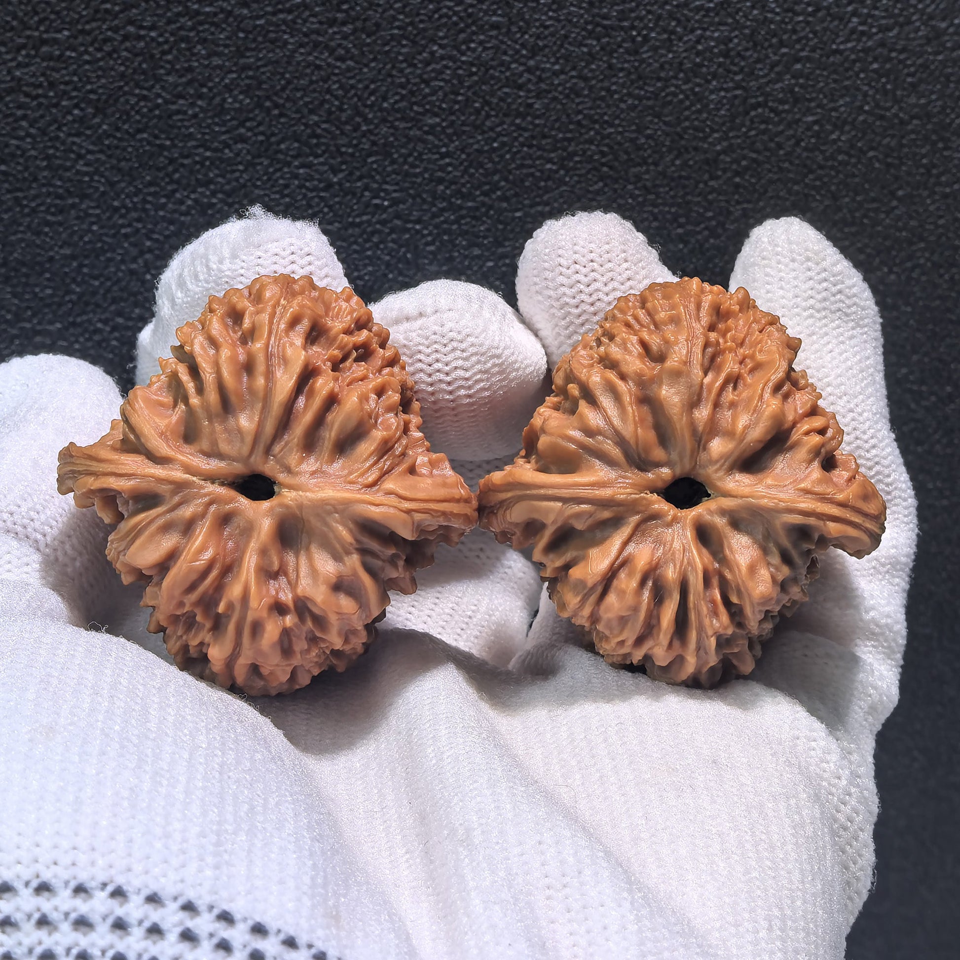 The "Nan Jiang Shi" Pair | Boutique Grade | 39.0mm x 39.0mm x 38.0mm | NJS-402C - ThePatinaProject