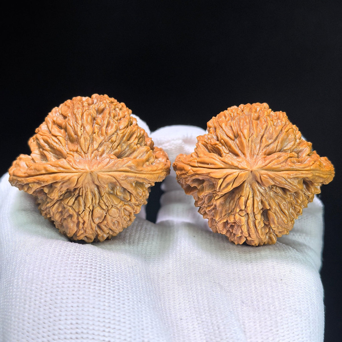 The "Nanjiang King" (Zhu Lu Nan Jiang Wang) Museum-Grade Giant Deep-Belly Pair | 48.0mm x 43.0mm | 100% Pristine & Unrepaired | NJS-1351C - ThePatinaProject