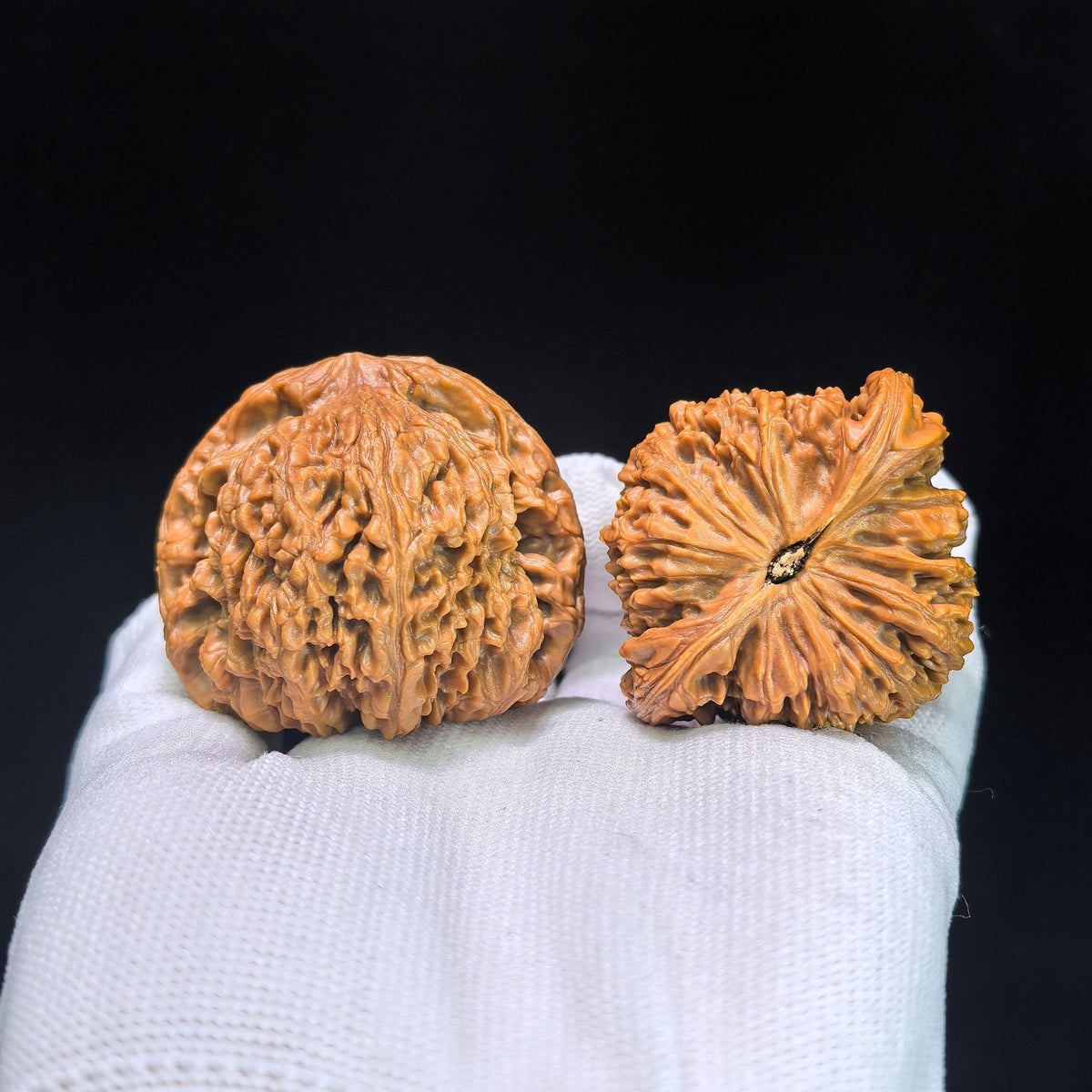 The "Nanjiang King" (Zhu Lu Nan Jiang Wang) Museum-Grade Giant Deep-Belly Pair | 48.0mm x 43.0mm | 100% Pristine & Unrepaired | NJS-1351C - ThePatinaProject