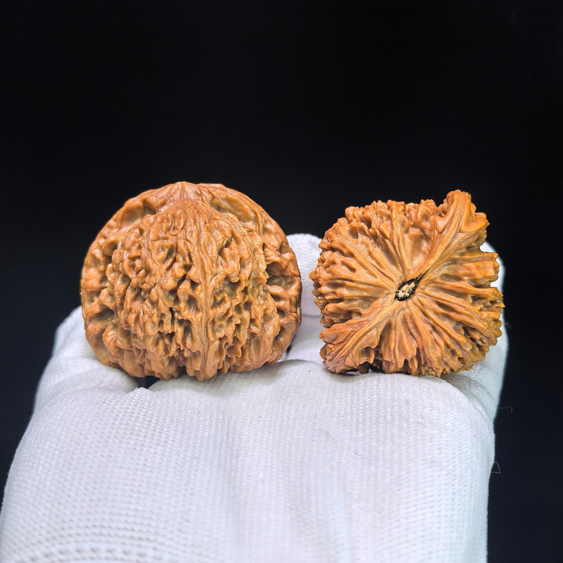 The "Nanjiang King" (Zhu Lu Nan Jiang Wang) Museum-Grade Giant Deep-Belly Pair | 48.0mm x 43.0mm | 100% Pristine & Unrepaired | NJS-1351C - ThePatinaProject