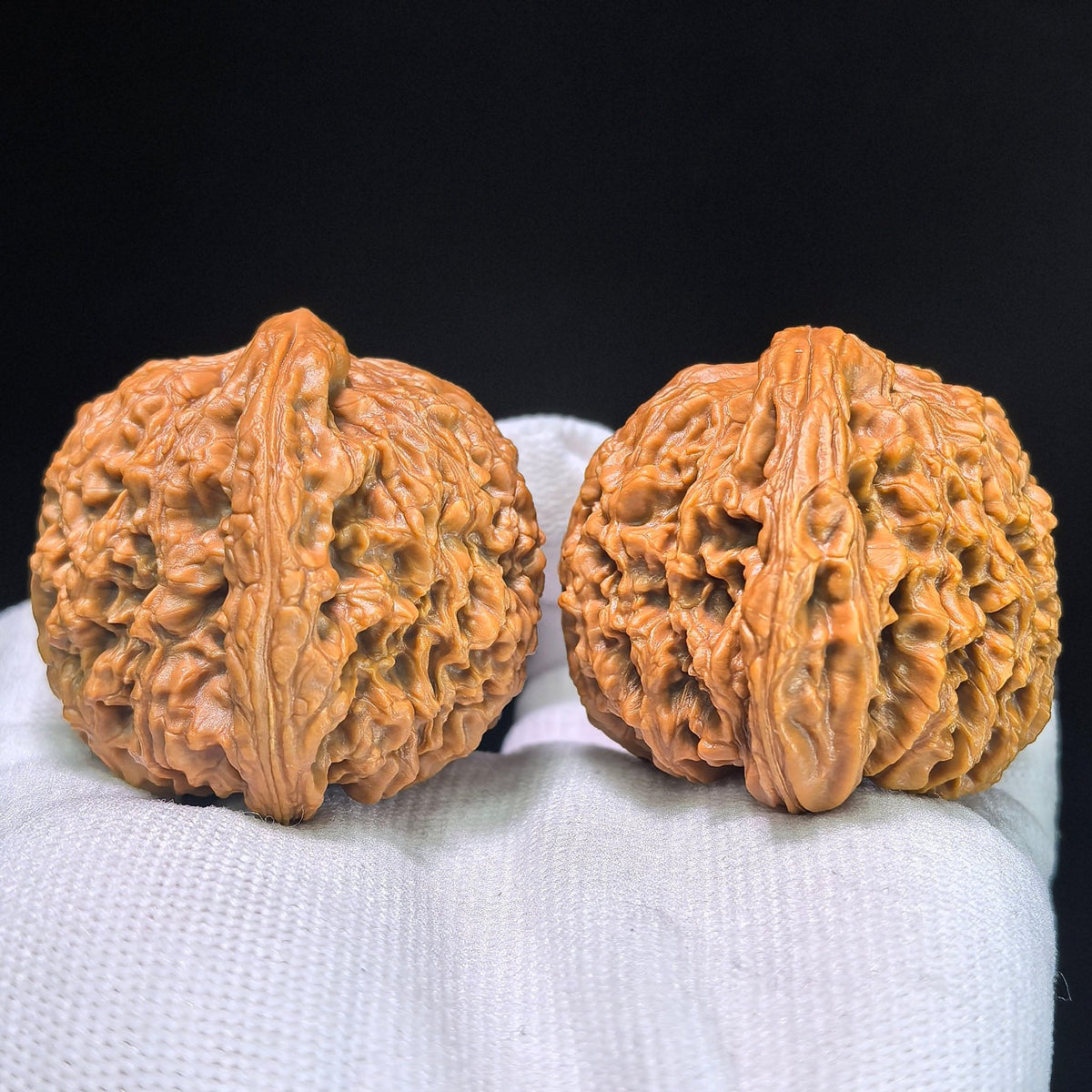 The "Nanjiang King" (Zhu Lu Nan Jiang Wang) Museum-Grade Giant Deep-Belly Pair | 48.0mm x 43.0mm | 100% Pristine & Unrepaired | NJS-1351C - ThePatinaProject