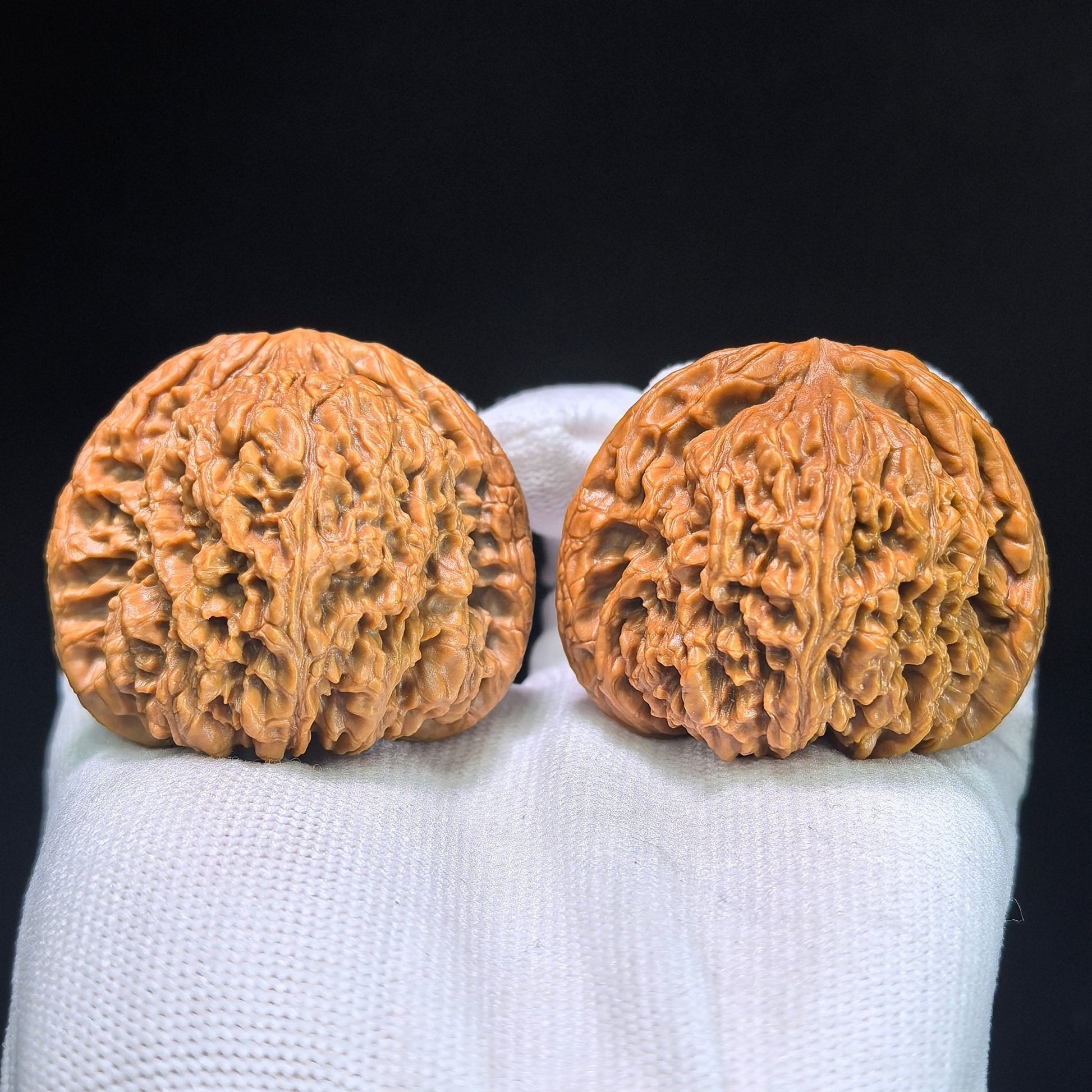 The "Nanjiang King" (Zhu Lu Nan Jiang Wang) Museum-Grade Giant Deep-Belly Pair | 48.0mm x 43.0mm | 100% Pristine & Unrepaired | NJS-1351C - ThePatinaProject