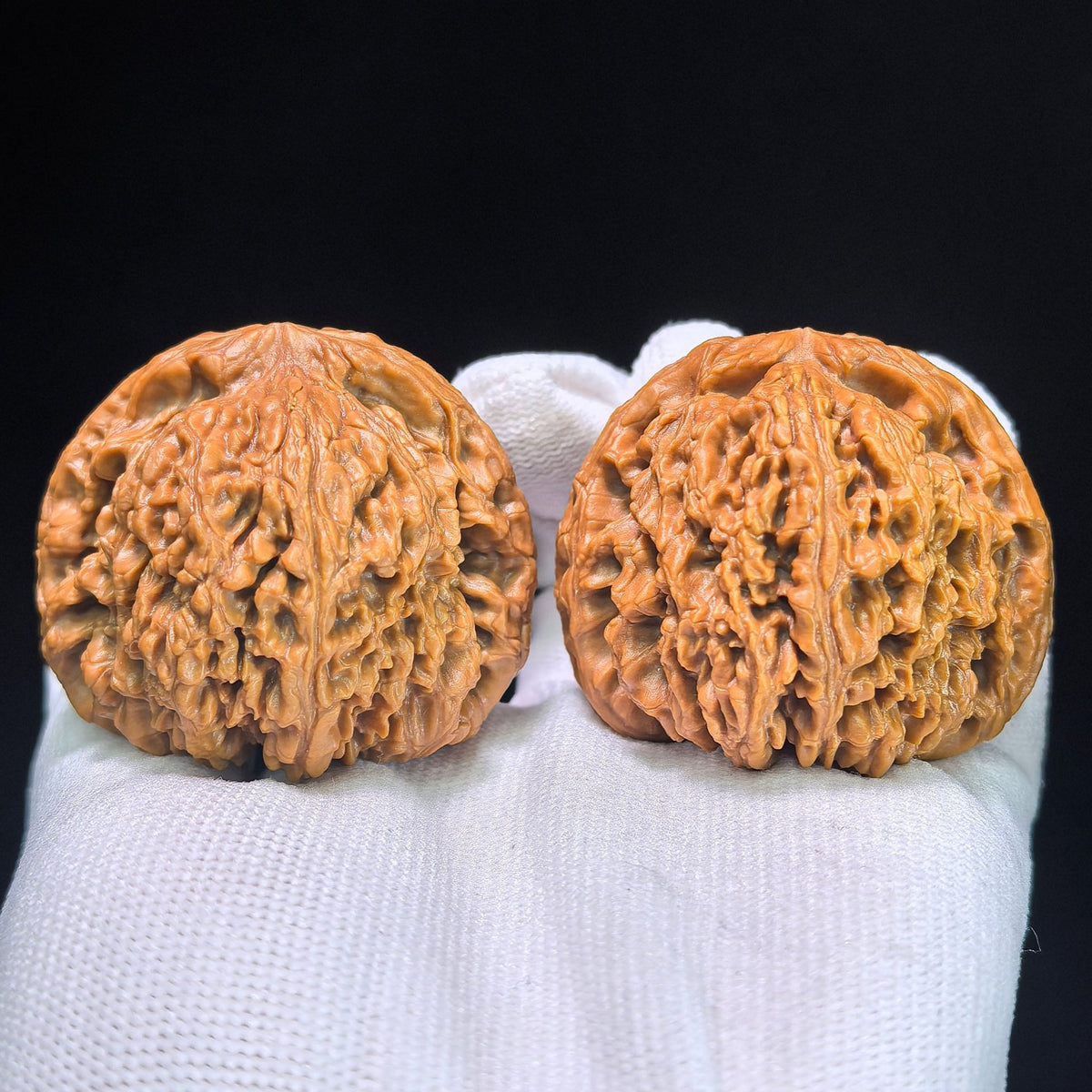 The "Nanjiang King" (Zhu Lu Nan Jiang Wang) Museum-Grade Giant Deep-Belly Pair | 48.0mm x 43.0mm | 100% Pristine & Unrepaired | NJS-1351C - ThePatinaProject