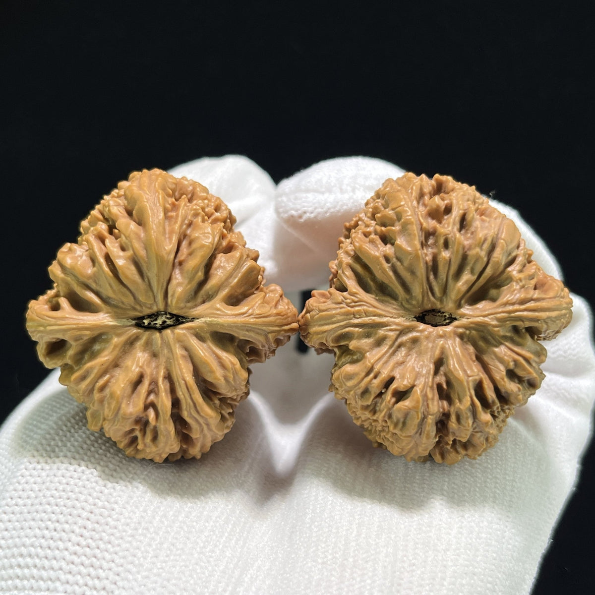 The "Nanjiang Stone" (Nan Jiang Shi) Deep-Bellied EDC Pair | 37.0mm x 39.0mm | NJS-904 - ThePatinaProject