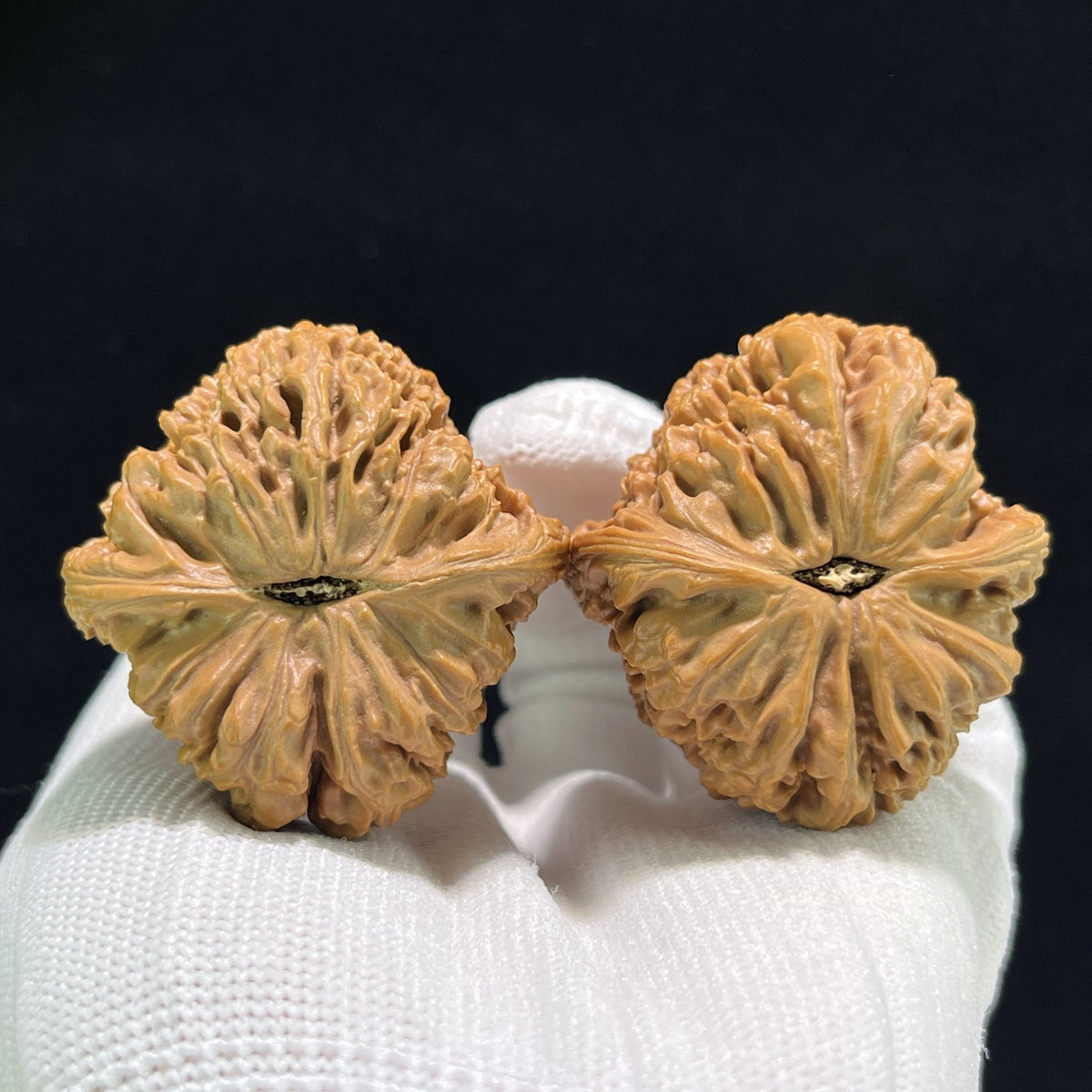 The "Nanjiang Stone" (Nan Jiang Shi) Deep-Bellied Giant Pair | 40.0mm x 42.0mm | NJS-906 - ThePatinaProject