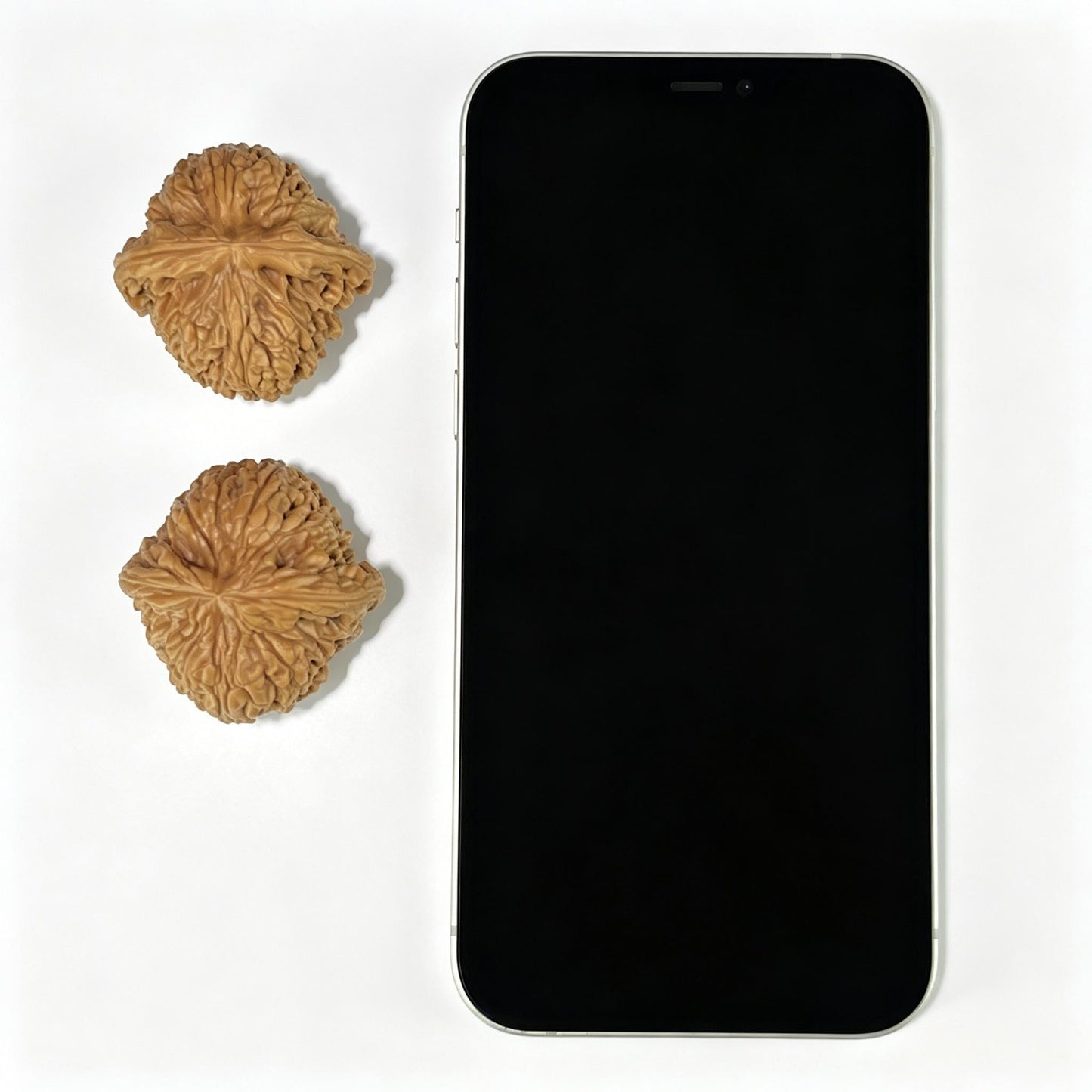 The "Nanjiang Stone" (Nan Jiang Shi) Ergonomic Giant | 43.0mm x 41.0mm | NJS-910 - ThePatinaProject