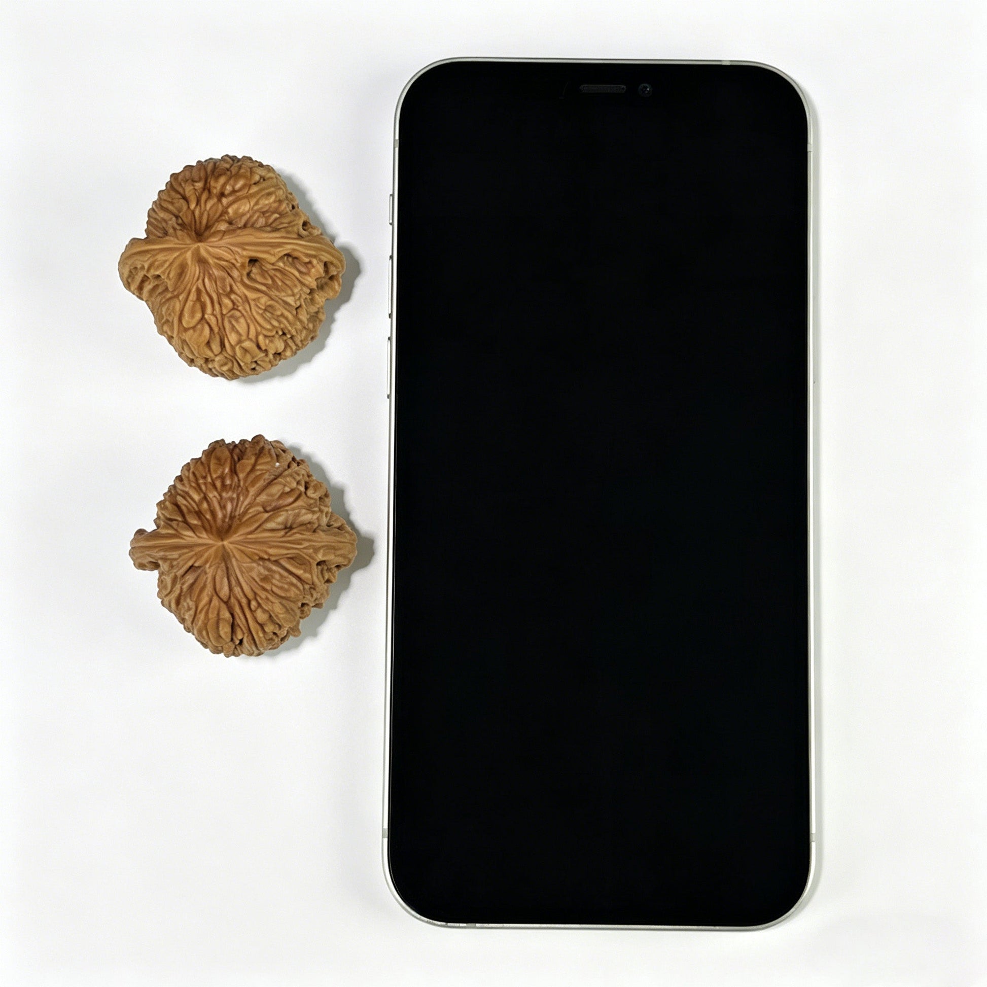 The "Nanjiang Stone" (Nan Jiang Shi) Flawless Balanced EDC Pair | 37.0mm x 37.0mm | NJS-801 - ThePatinaProject