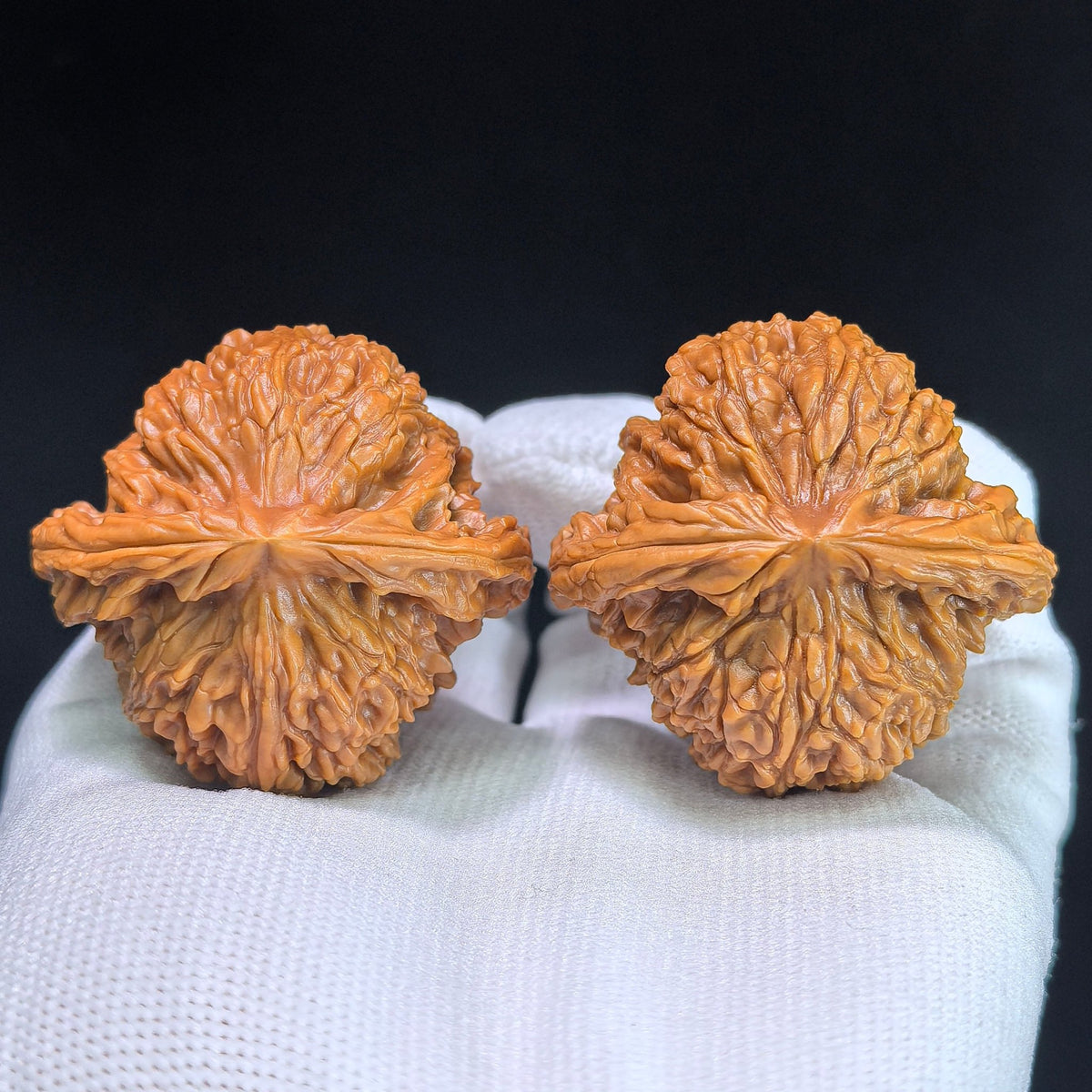 The "Nanjiang Stone" (NJS) Premium Lion Head Pair | 45.0mm x 42.0mm | NJS-1033C - ThePatinaProject