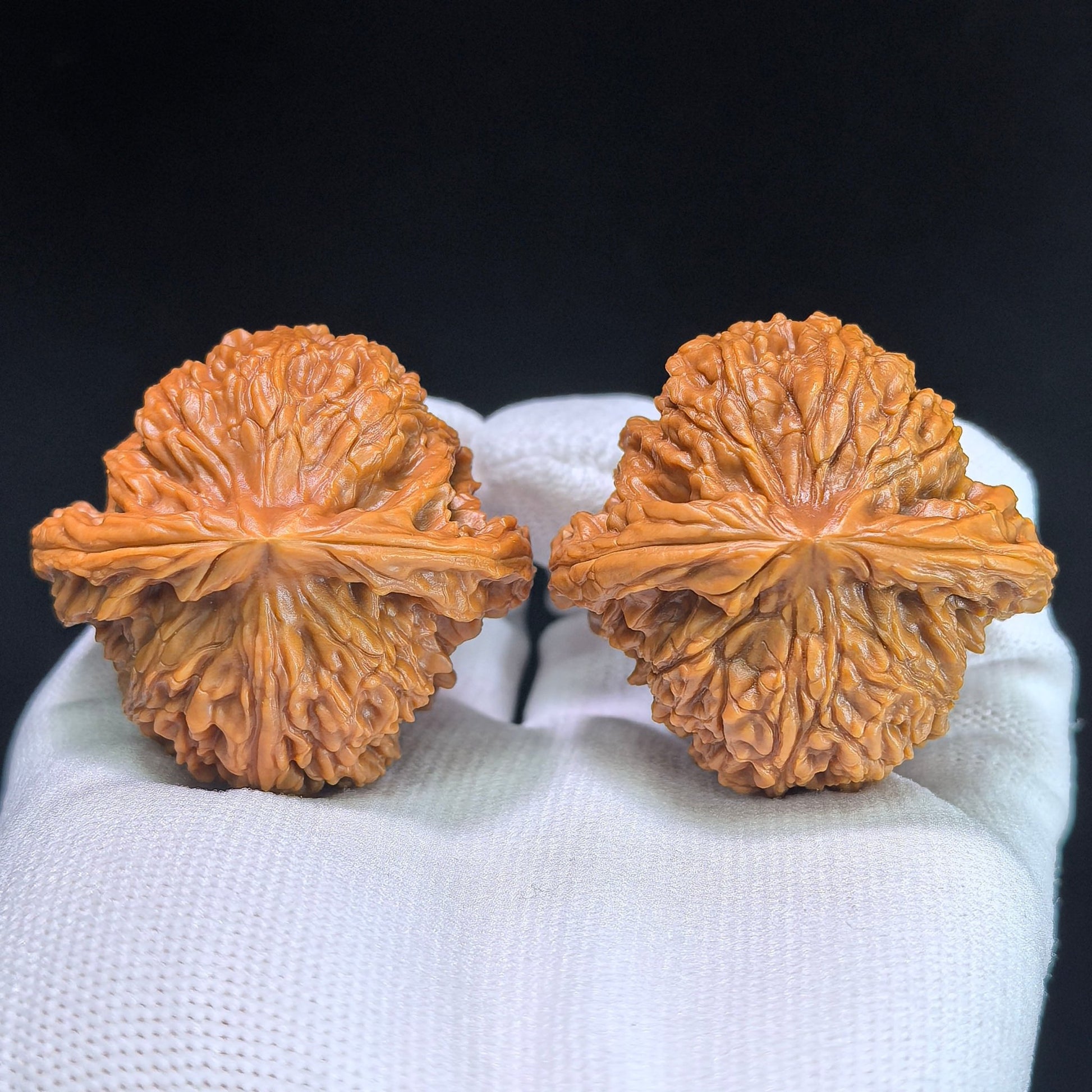 The "Nanjiang Stone" (NJS) Premium Lion Head Pair | 45.0mm x 42.0mm | NJS-1033C - ThePatinaProject