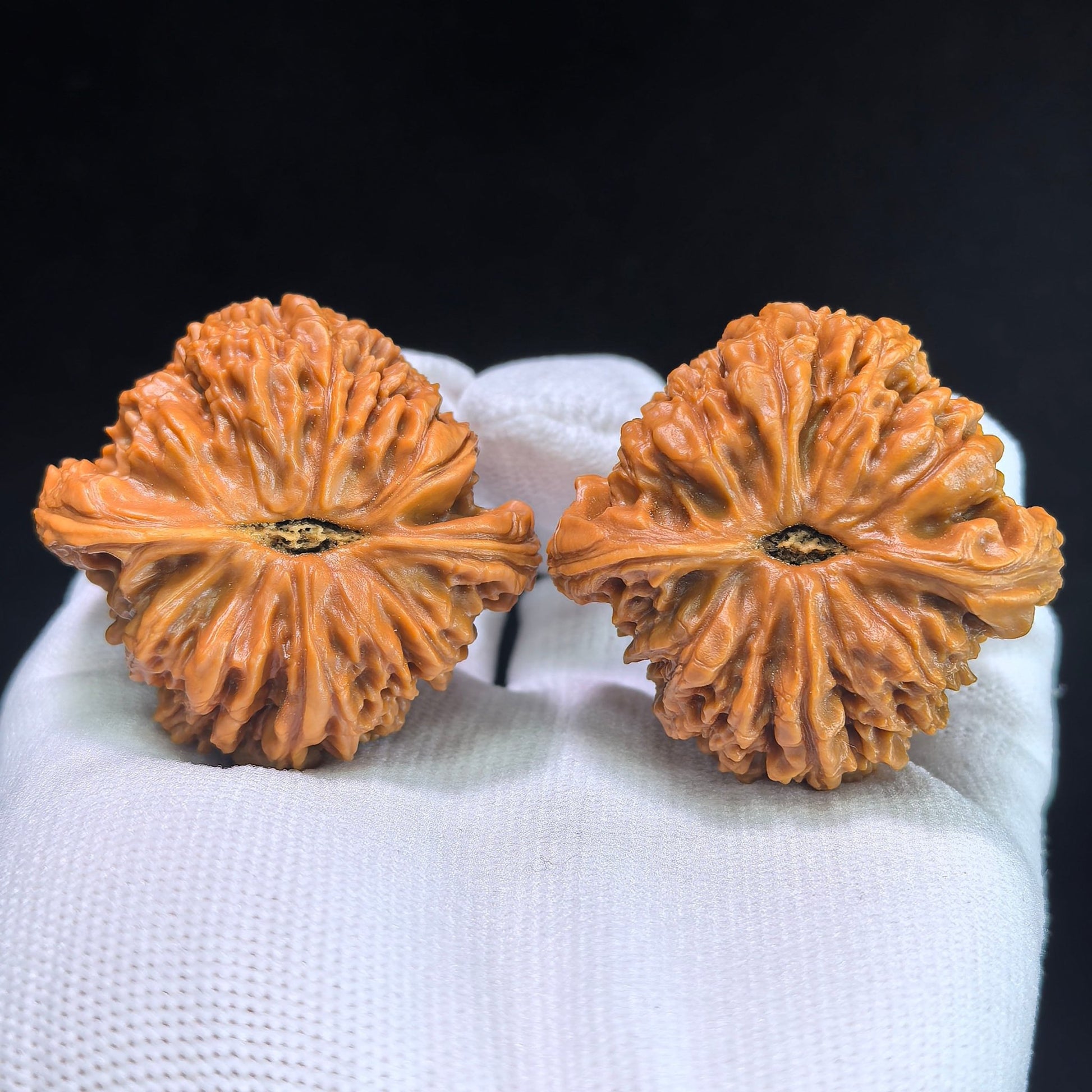 The "Nanjiang Stone" (NJS) Premium Lion Head Pair | 45.0mm x 42.0mm | NJS-1033C - ThePatinaProject