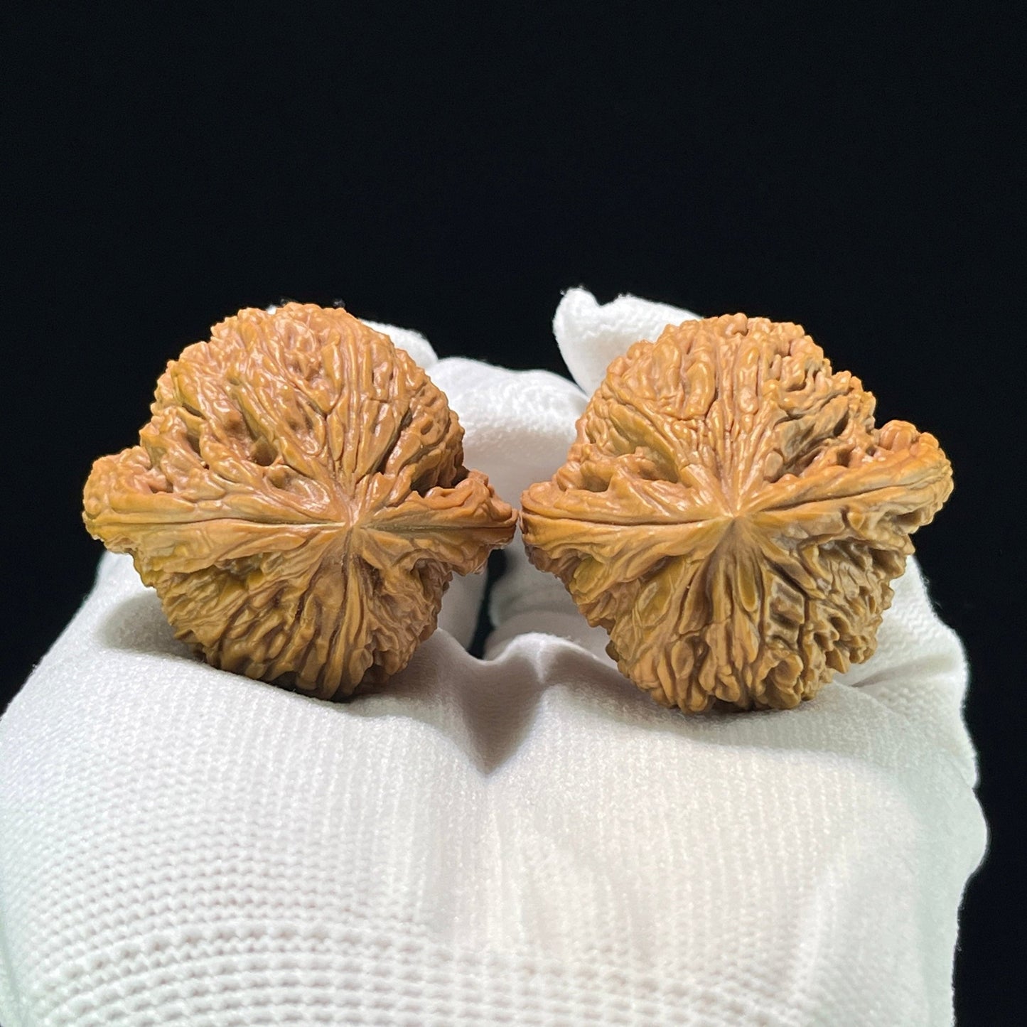 The "Nanjiangshi" (NJS) Classic Flat-Base Deep-Belly Pair | 40.0mm x 37.0mm | NJS-805 - ThePatinaProject