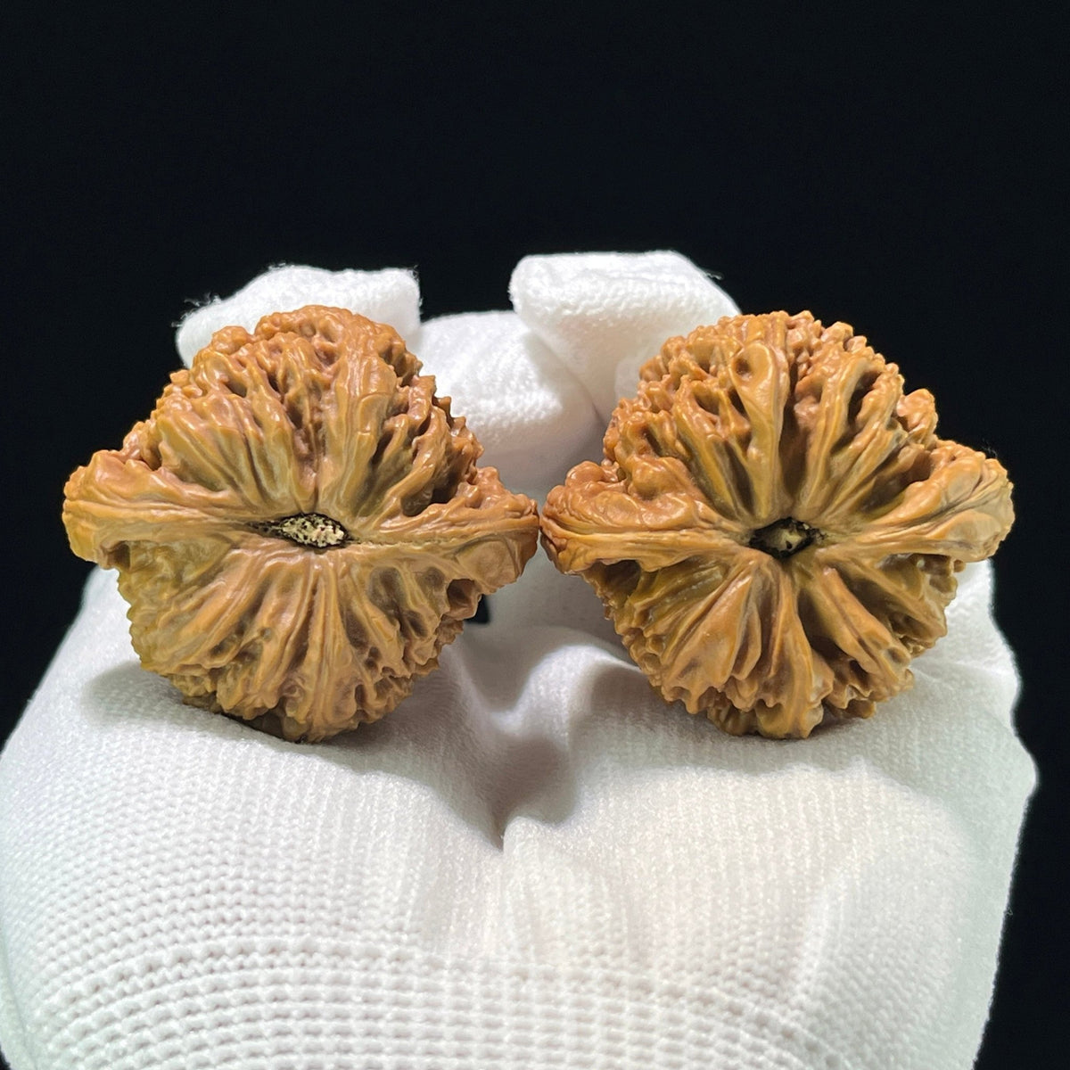 The "Nanjiangshi" (NJS) Classic Flat-Base Deep-Belly Pair | 40.0mm x 37.0mm | NJS-805 - ThePatinaProject