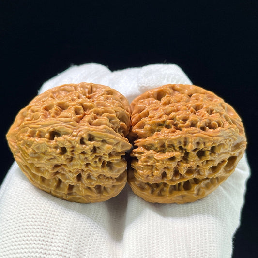 The "Nanjiangshi" (NJS) Heritage Grand-Scale Lion Head Pair | 47.0mm x 46.0mm | NJS-908 - ThePatinaProject