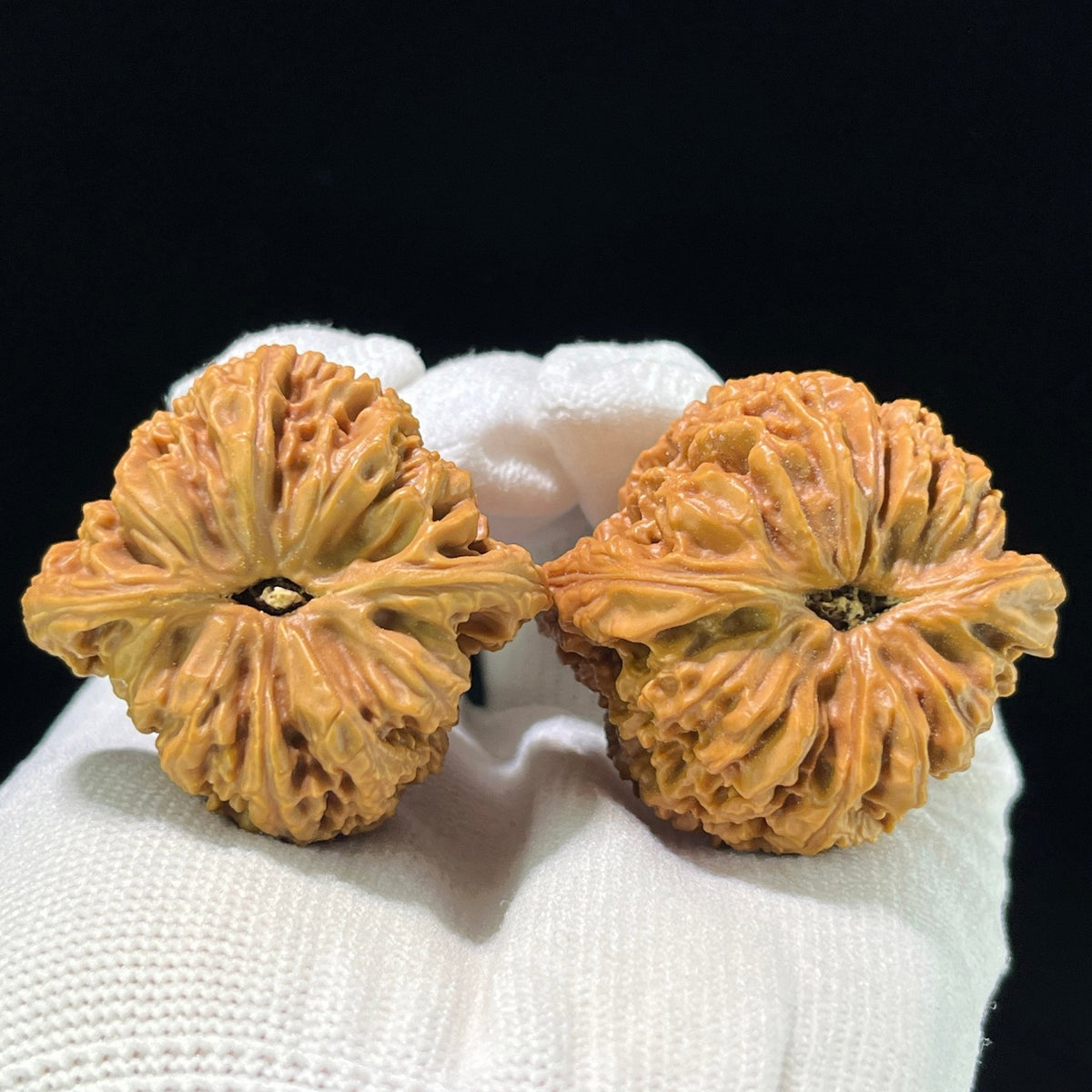 The "Nanjiangshi" (NJS) Heritage Grand-Scale Lion Head Pair | 47.0mm x 46.0mm | NJS-908 - ThePatinaProject