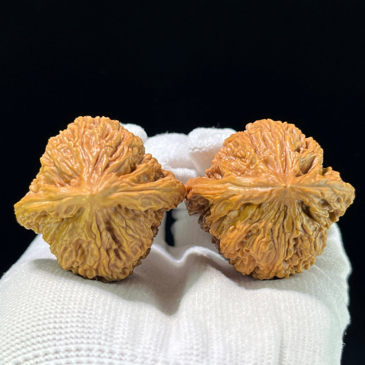The "Nanjiangshi" (NJS) Heritage Grand-Scale Lion Head Pair | 47.0mm x 46.0mm | NJS-908 - ThePatinaProject