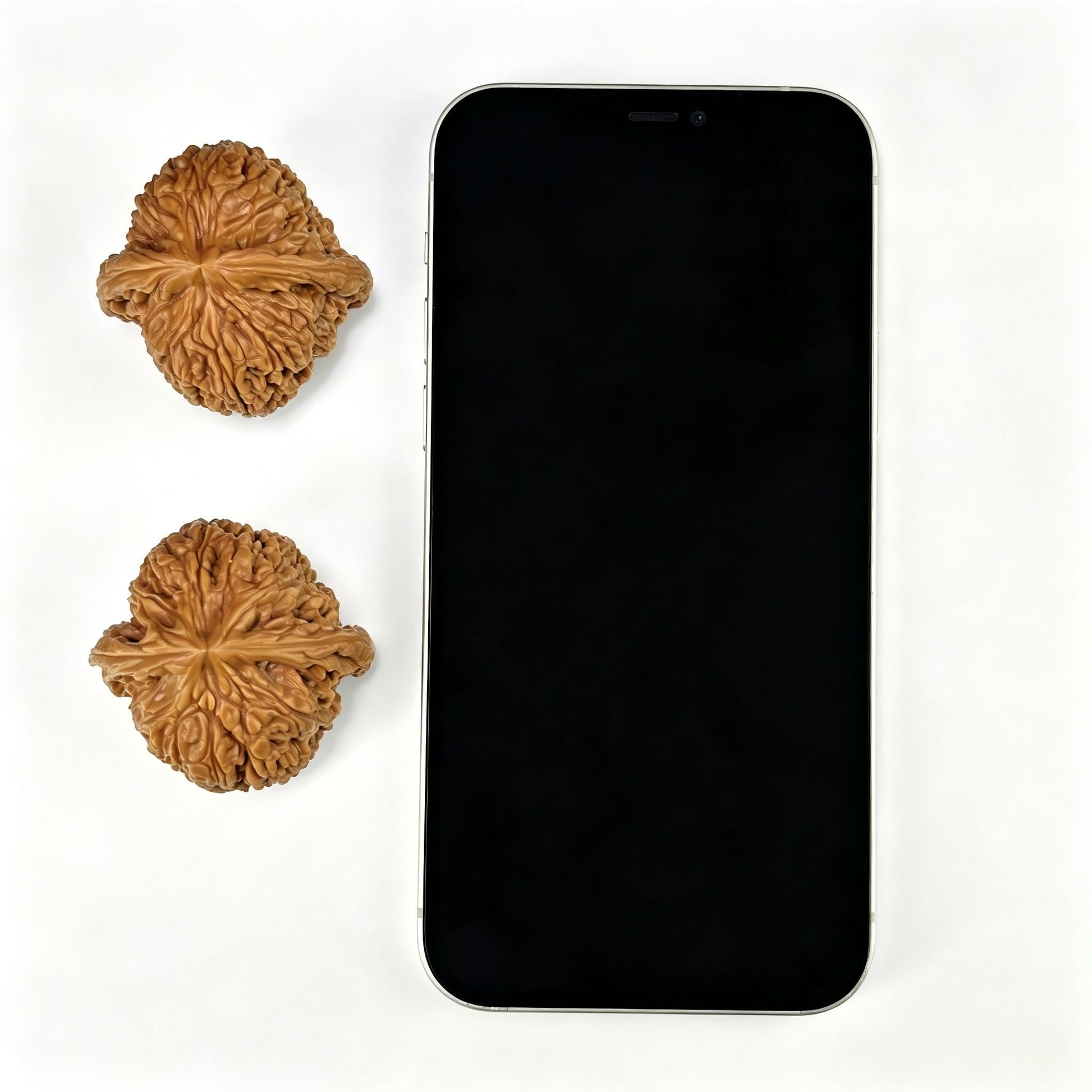 The "Nanjiangshi" (NJS) Traditional Balanced Round Pair | 41.0mm x 41.0mm | NJS-811 - ThePatinaProject