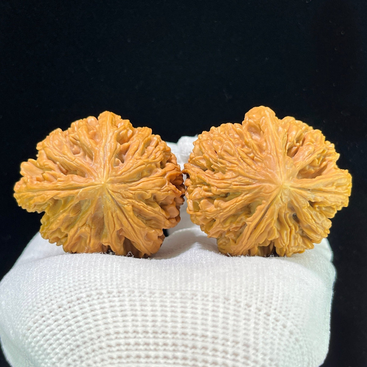 The "Nine Dragon Sinews" (Jiu Long Jin) Premium Elongated Deep-Belly Pair | 41.0mm x 45.0mm | JLJ-1001 - ThePatinaProject