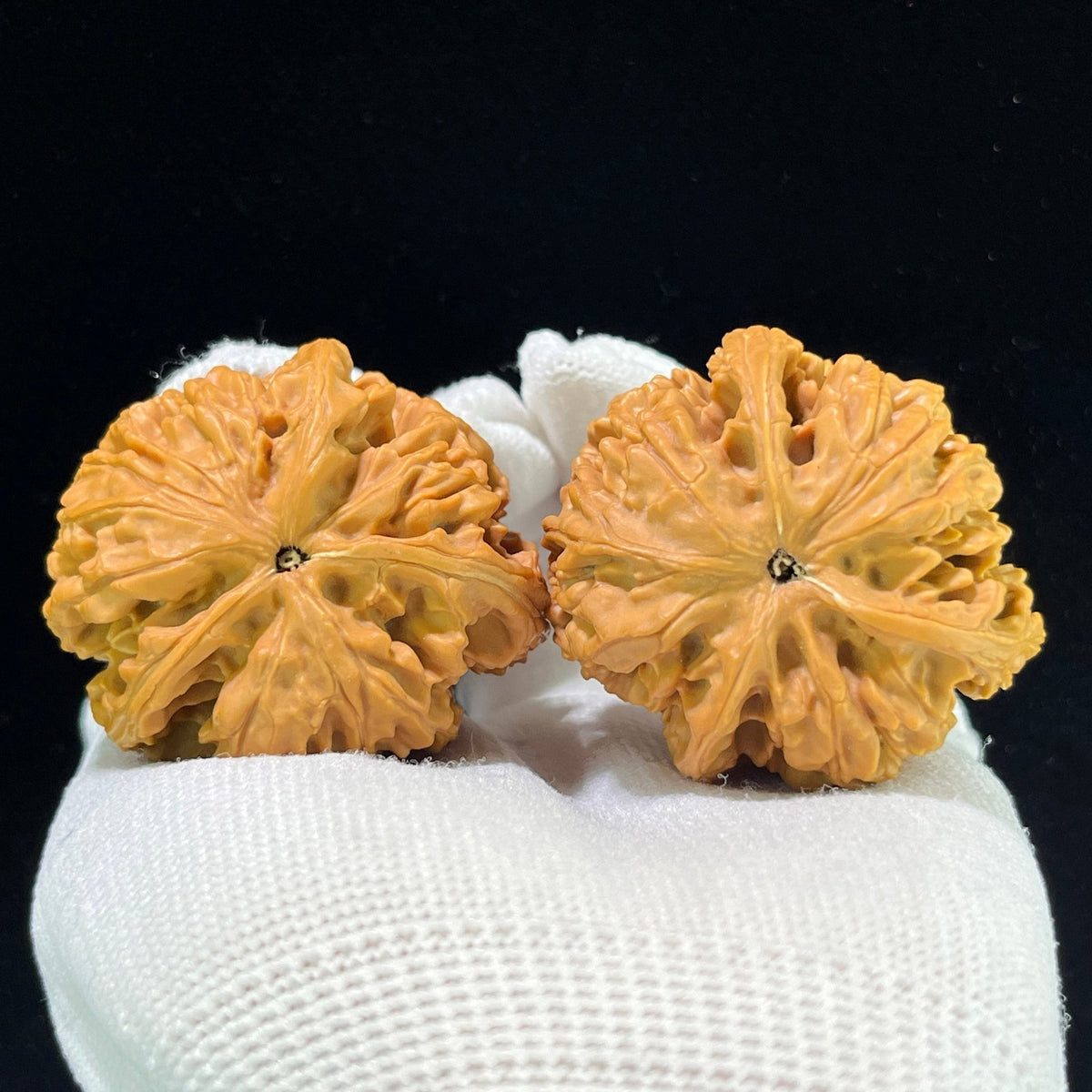 The "Nine Dragon Sinews" (Jiu Long Jin) Premium Elongated Deep-Belly Pair | 41.0mm x 45.0mm | JLJ-1001 - ThePatinaProject