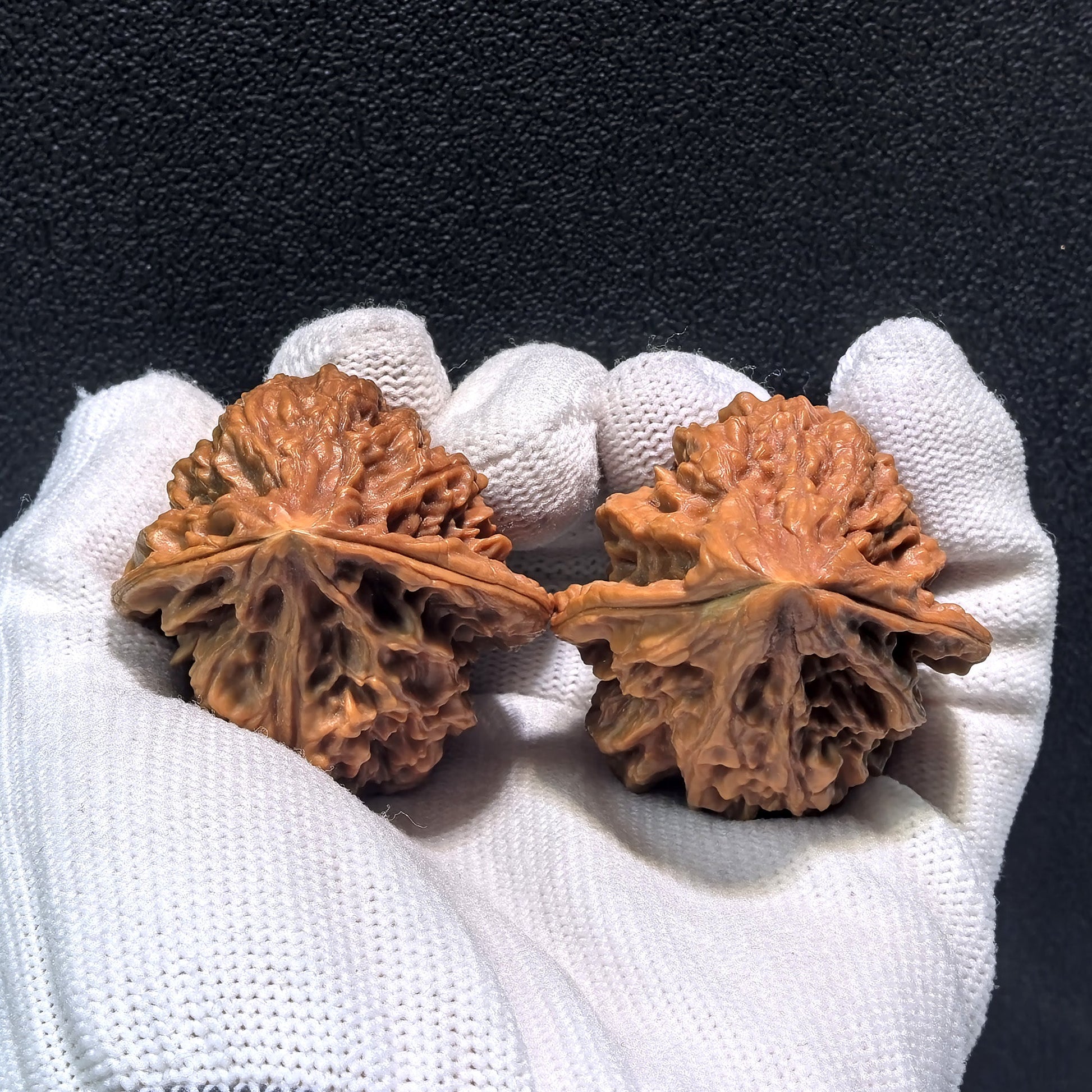 The "Nine Dragons Thick Ridge" (Jiu Long Yu Cu Jin) Pair | 40.0mm x 42.0mm | CJ-401 - ThePatinaProject