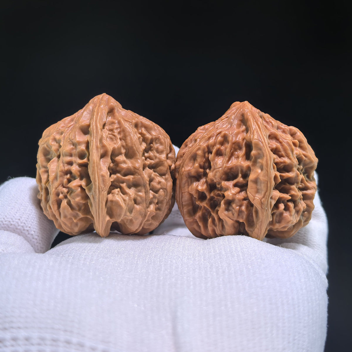The "Nine Dragons Valley" (Jiu Long Yu) Pair | 36.0mm x 39.0mm | JLY-703 - ThePatinaProject