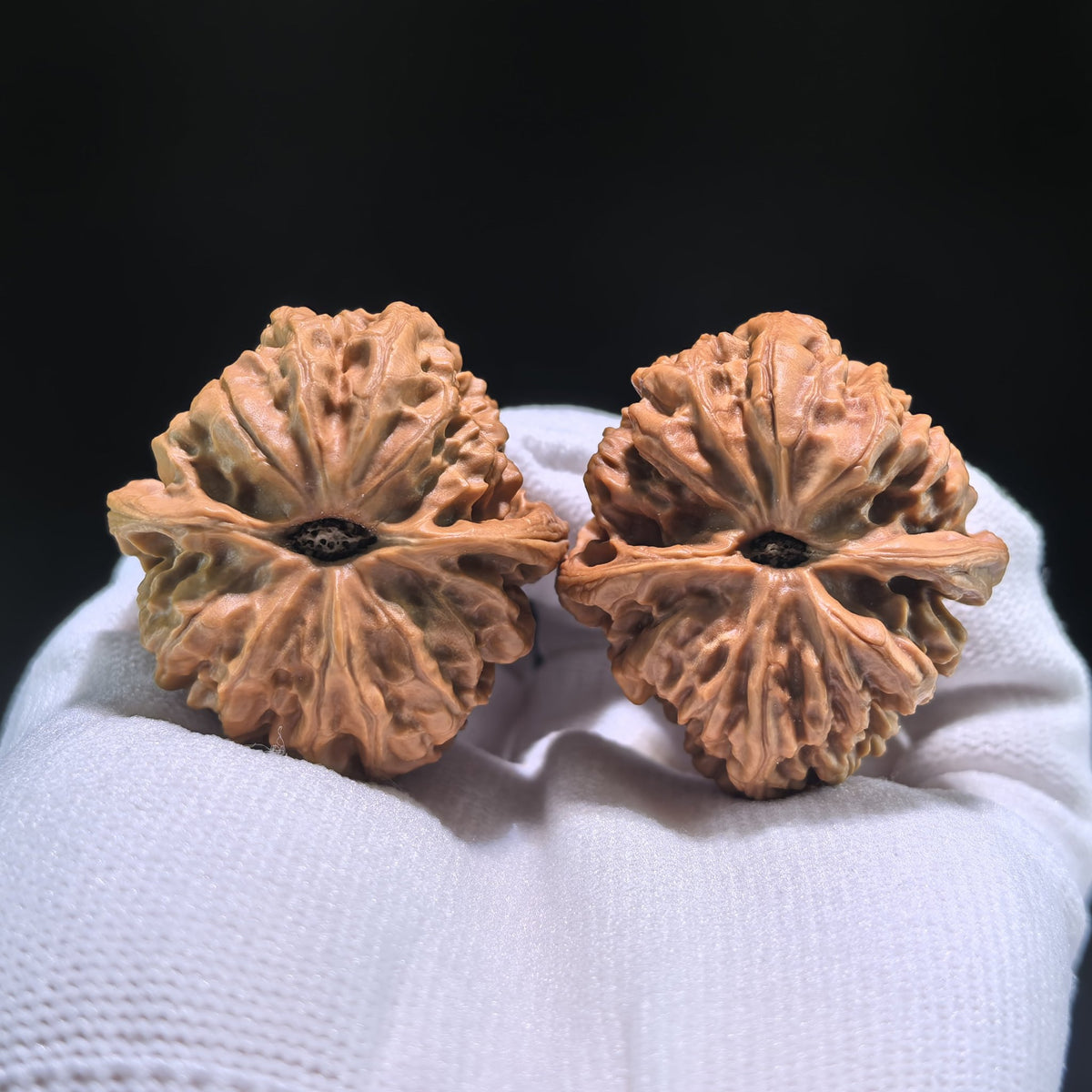 The "Nine Dragons Valley" (Jiu Long Yu) Pair | 36.0mm x 39.0mm | JLY-703 - ThePatinaProject