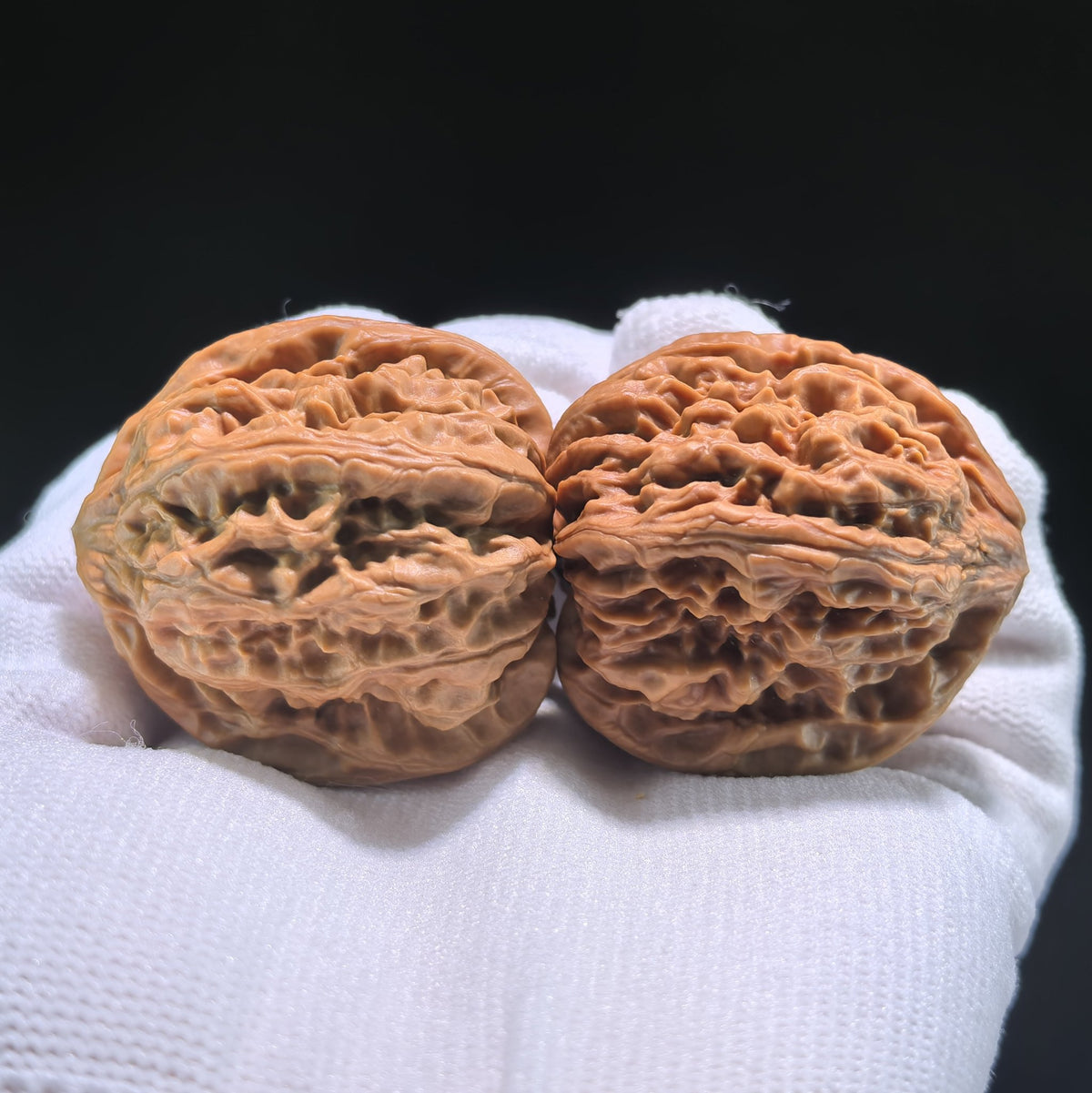 The "Nine Dragons Valley" (Jiu Long Yu) Pair | 36.0mm x 39.0mm | JLY-703 - ThePatinaProject