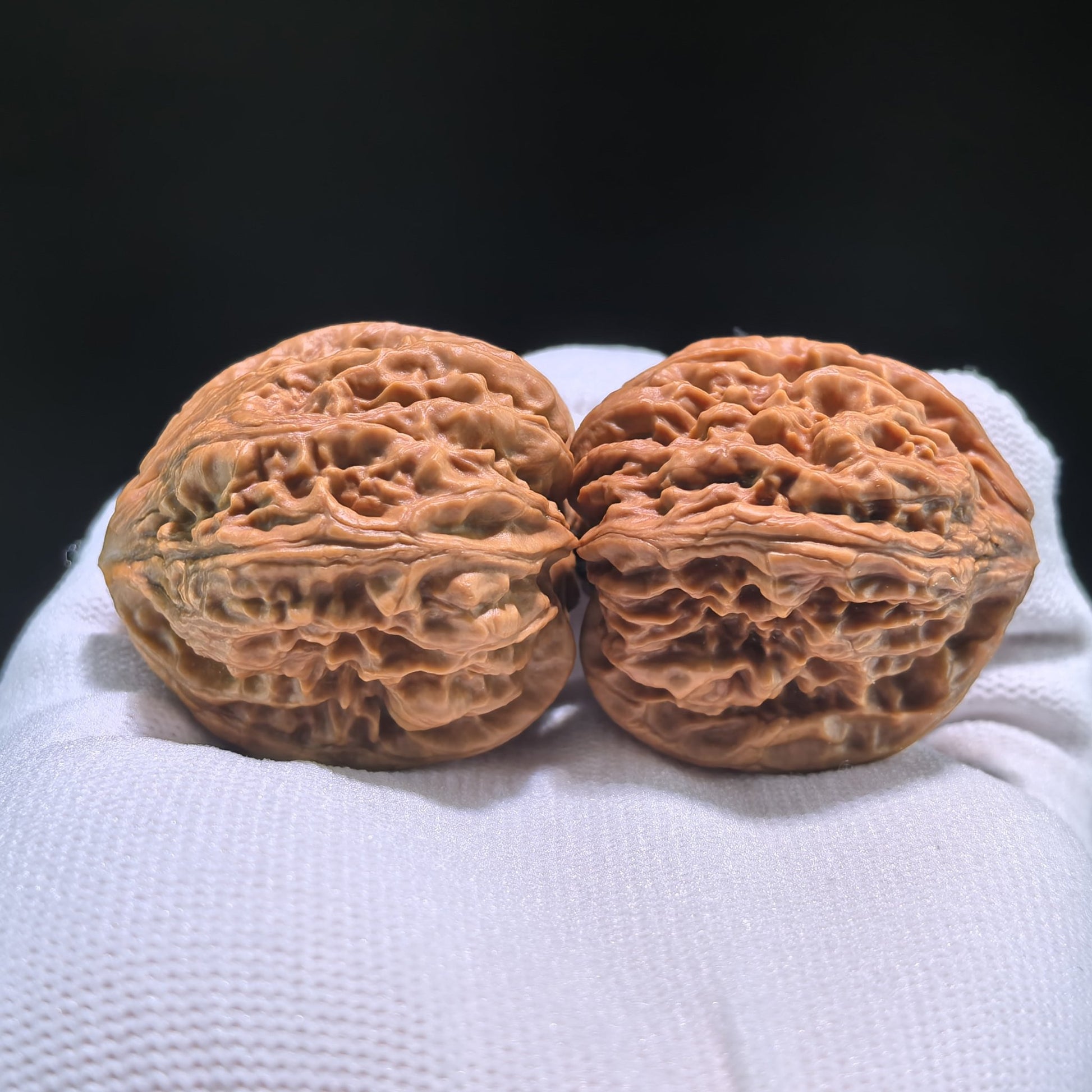 The "Nine Dragons Valley" (Jiu Long Yu) Pair | 36.0mm x 39.0mm | JLY-703 - ThePatinaProject