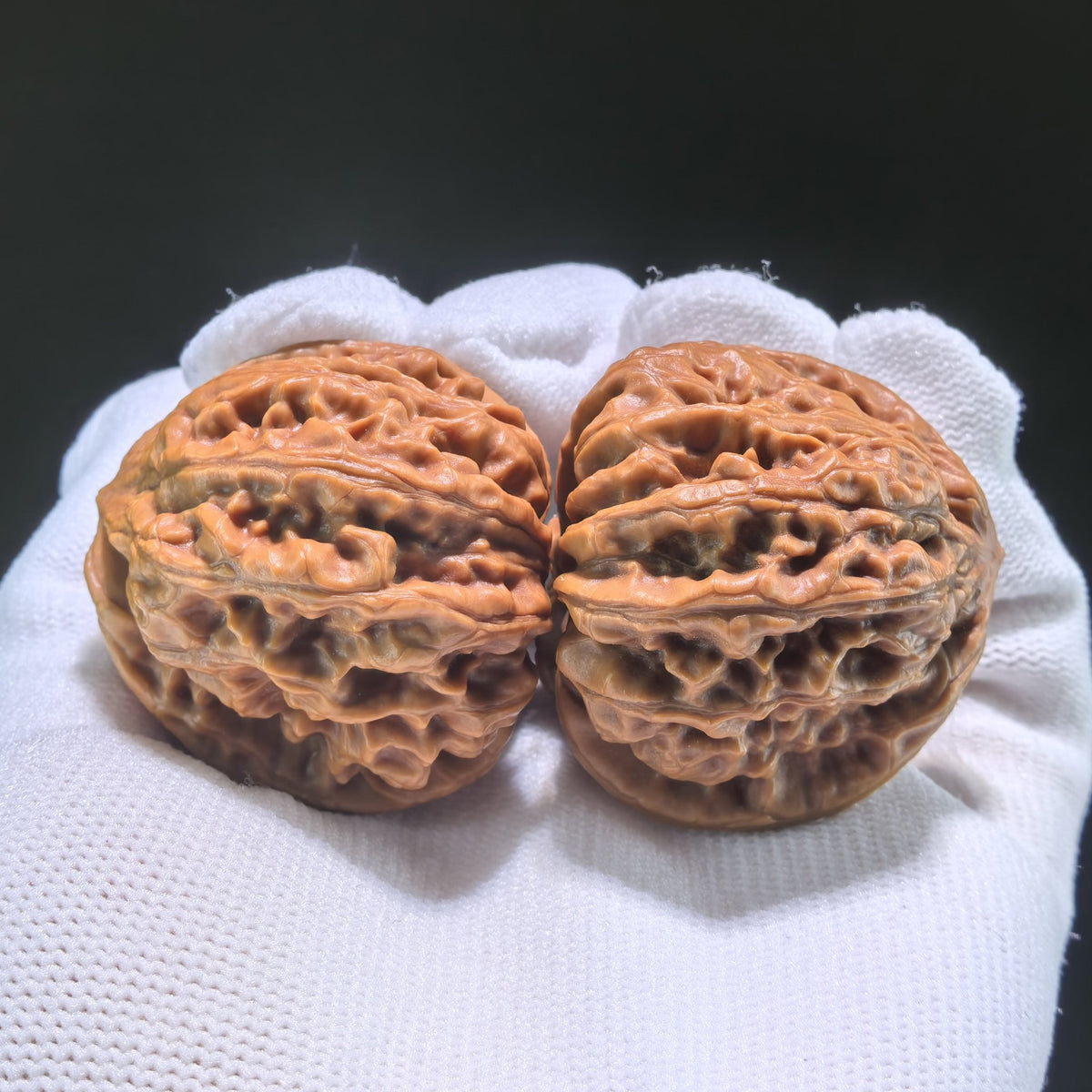 The "Nine Dragons Valley" (Jiu Long Yu) Pair | 39.0mm x 39.0mm | JLY-702 - ThePatinaProject