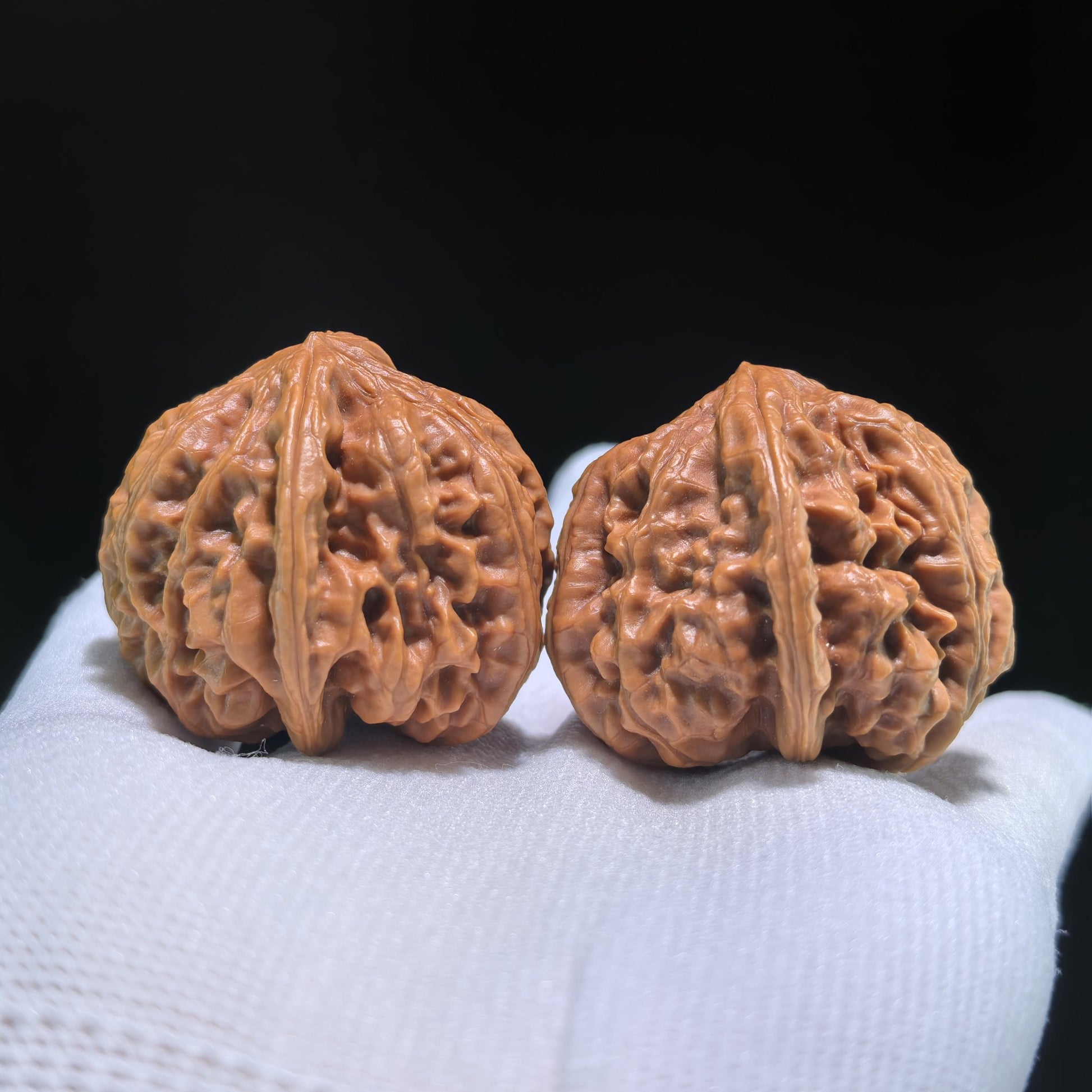 The "Nine Dragons Valley" (Jiu Long Yu) Pair | 39.0mm x 39.0mm | JLY-702 - ThePatinaProject