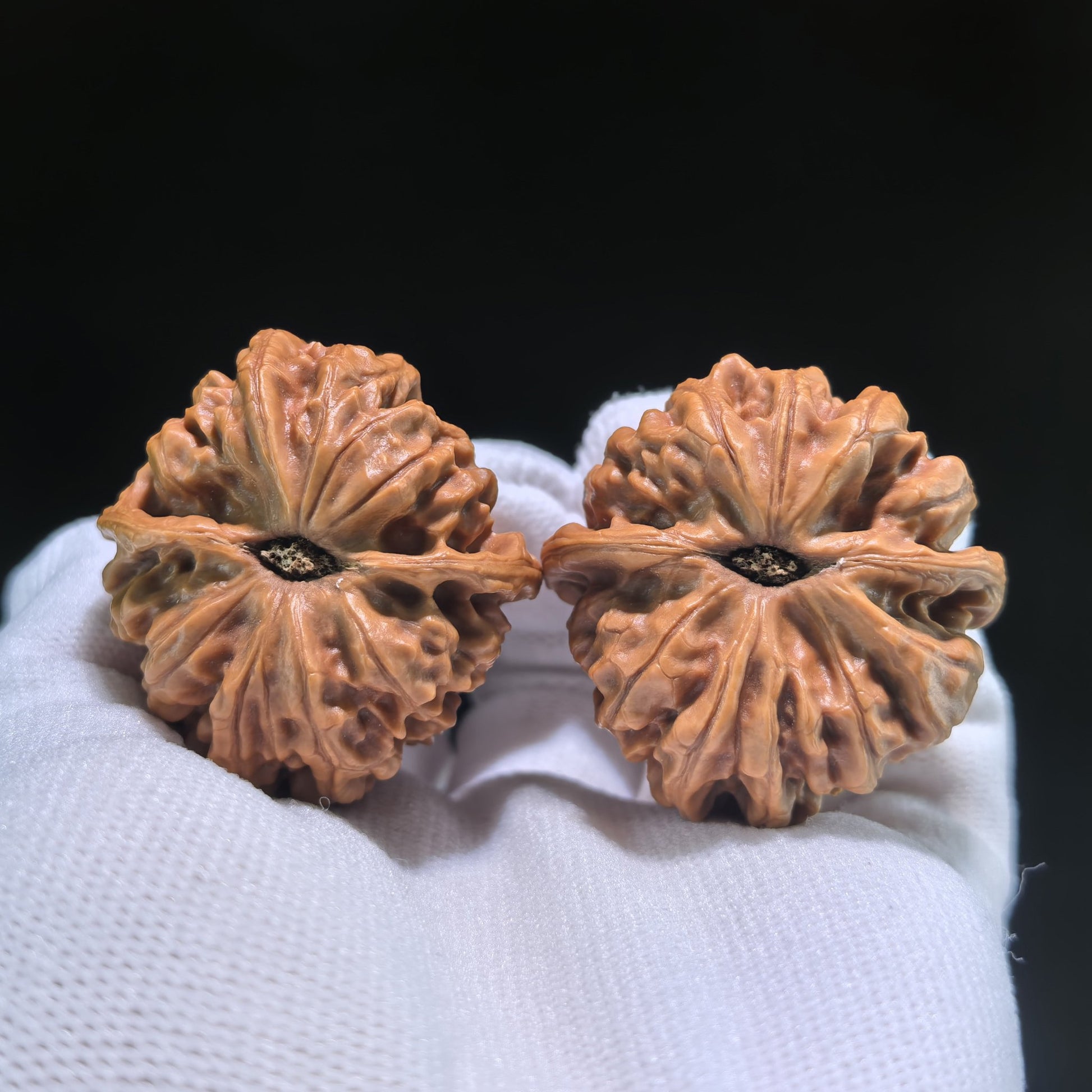 The "Nine Dragons Valley" (Jiu Long Yu) Pair | 39.0mm x 39.0mm | JLY-702 - ThePatinaProject