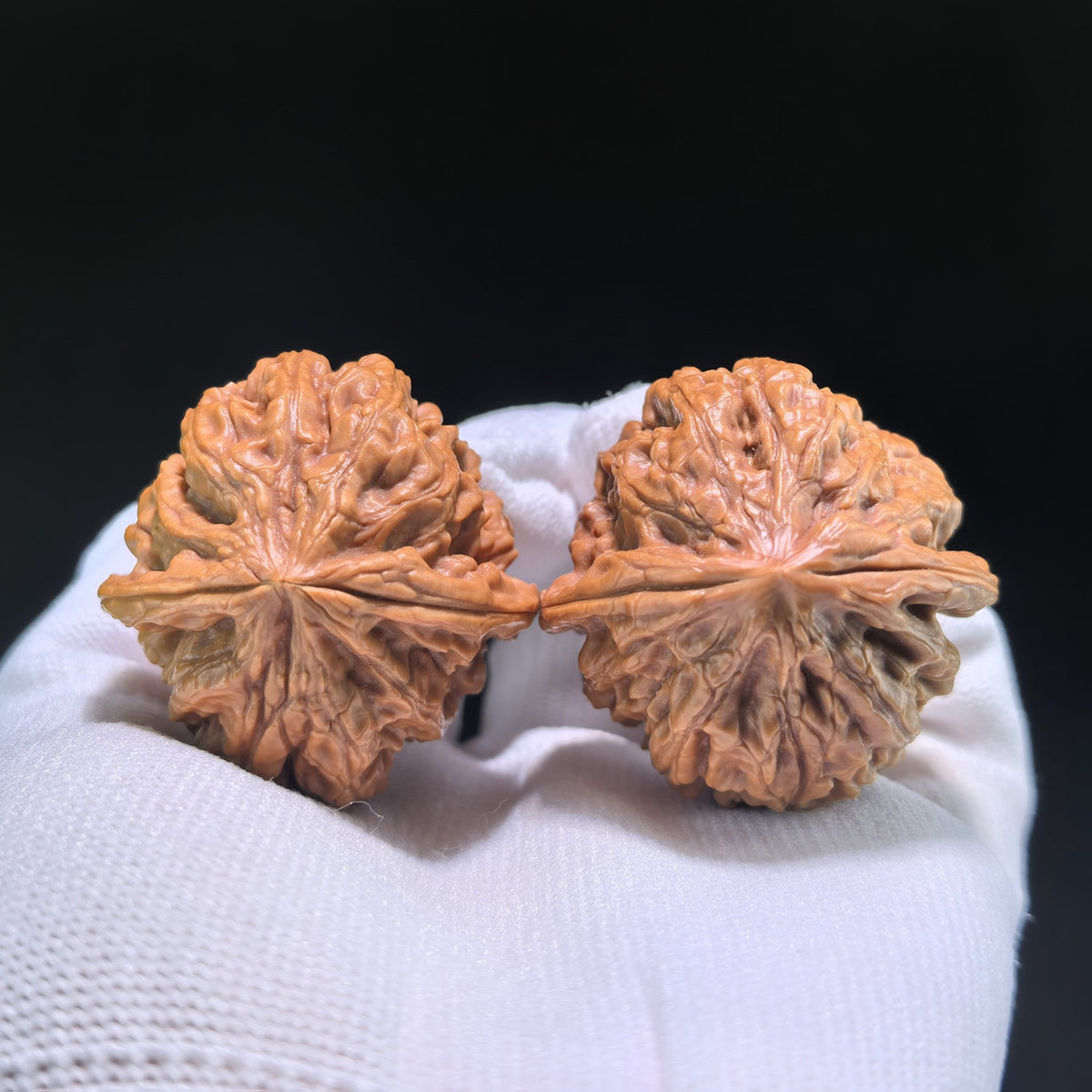 The "Nine Dragons Valley" (Jiu Long Yu) Pair | 39.0mm x 39.0mm | JLY-702 - ThePatinaProject